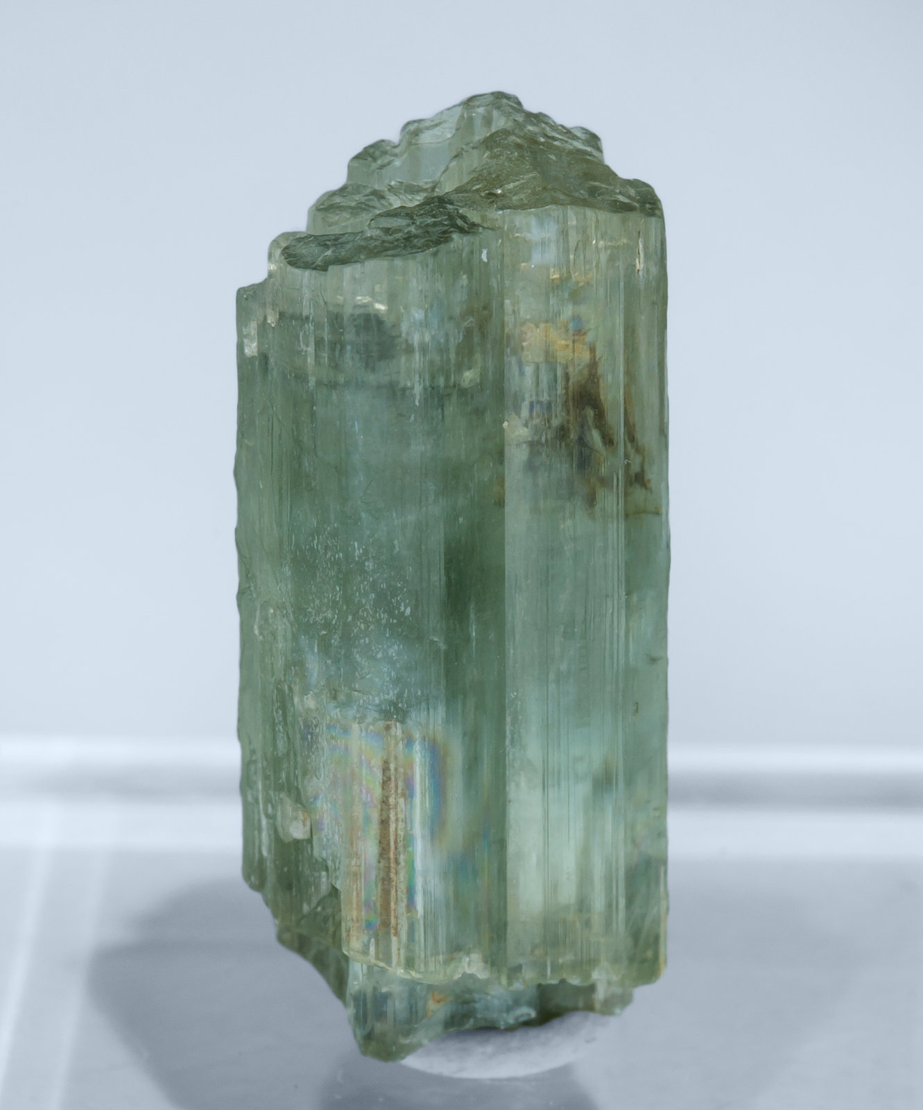 specimens/s_imagesAL1/Tremolite-TT56AL1f.jpg