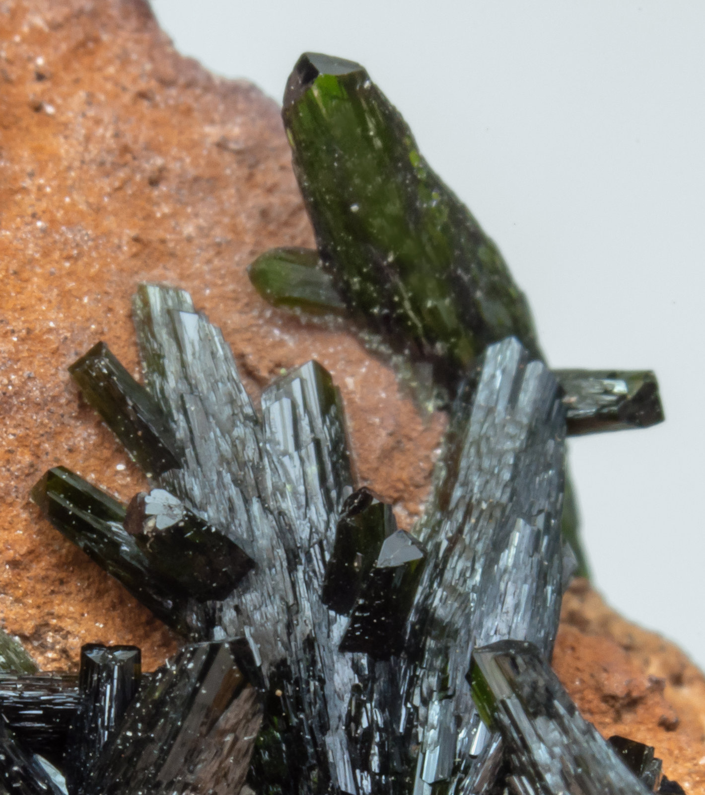 specimens/s_imagesAL2/Olivenite-TV87AL2d2.jpg