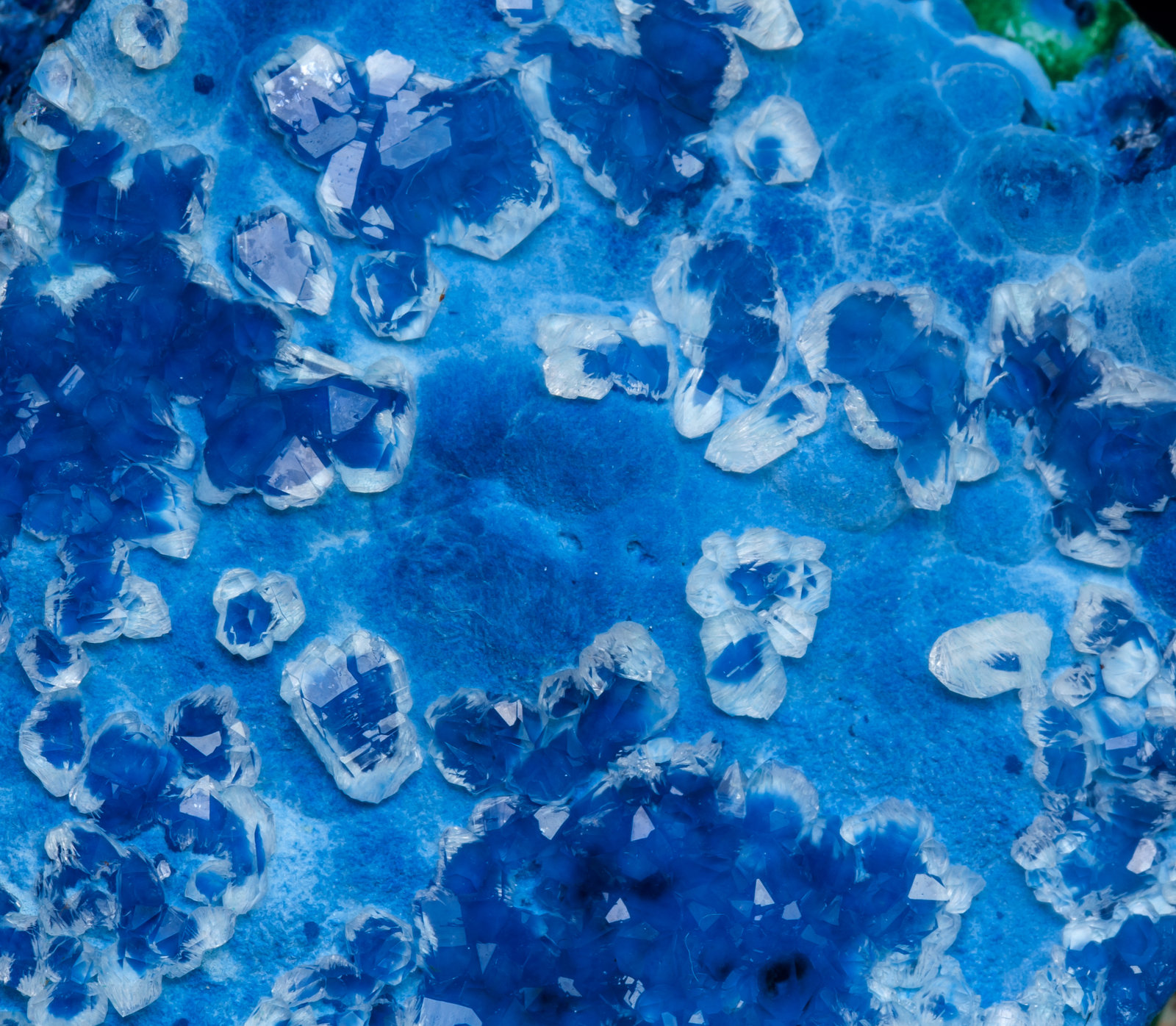 specimens/s_imagesAL2/Shattuckite-TV52AL2d1.jpg