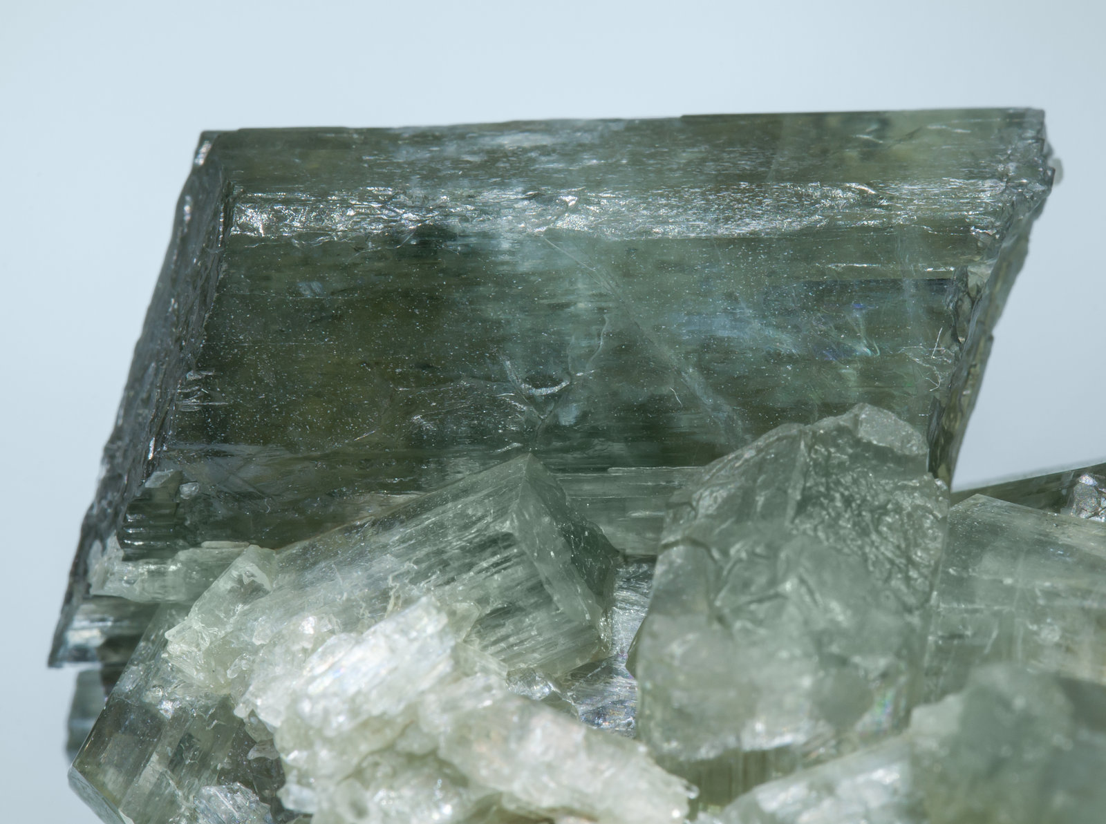specimens/s_imagesAL2/Tremolite-TA37AL2d.jpg