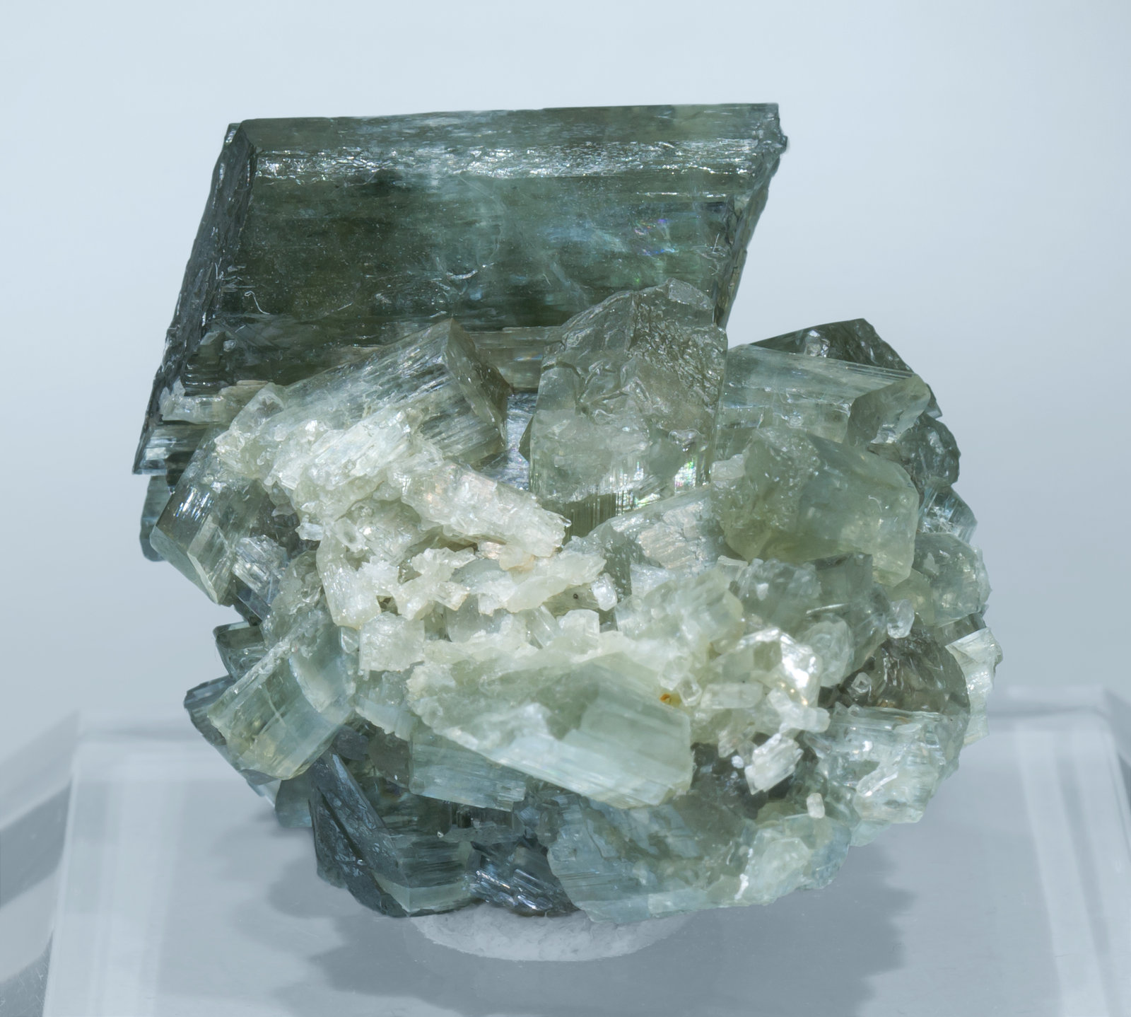 specimens/s_imagesAL2/Tremolite-TA37AL2r.jpg