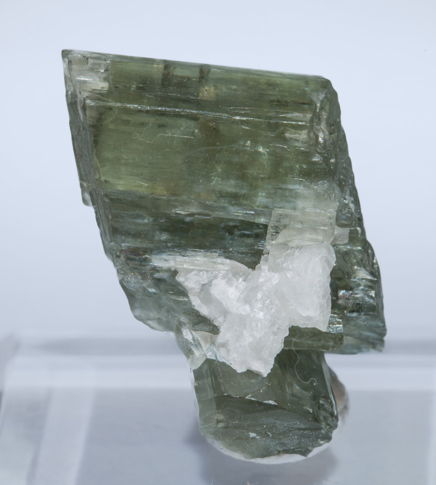 specimens/s_imagesAL2/Tremolite-TX14AL2f.jpg