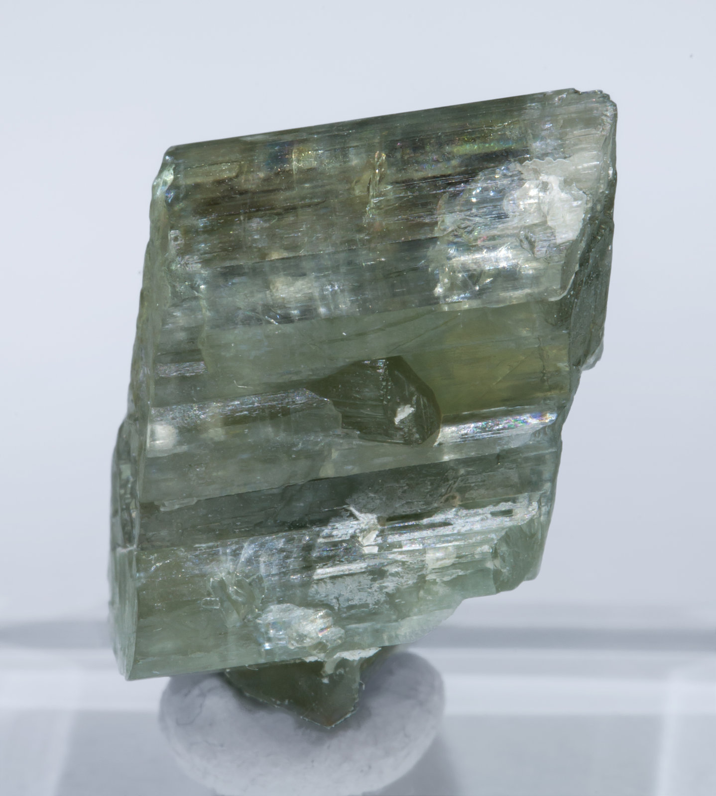 specimens/s_imagesAL2/Tremolite-TX14AL2r.jpg