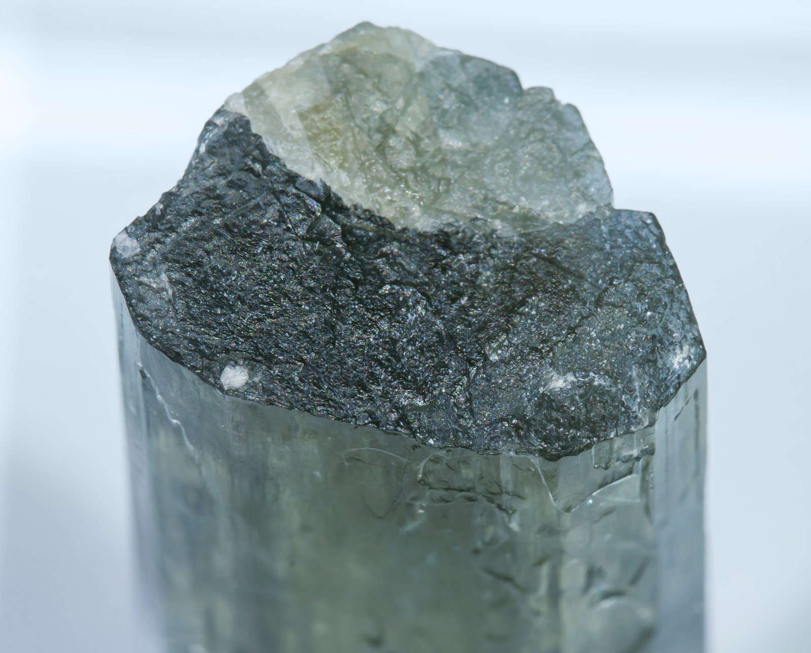 specimens/s_imagesAL2/Tremolite-TZ36AL2t.jpg