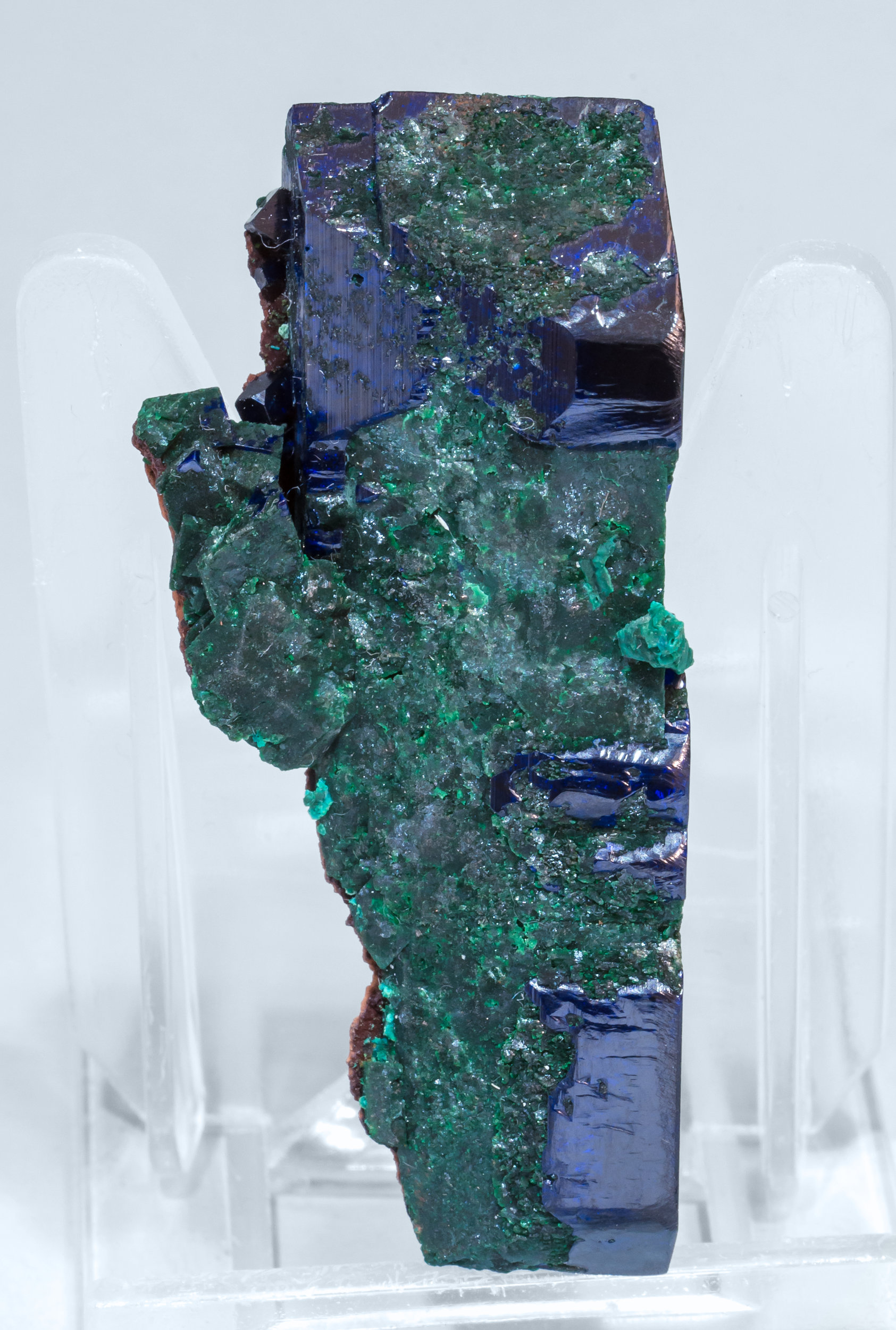 specimens/s_imagesAL3/Azurite-EK89AL3f.jpg