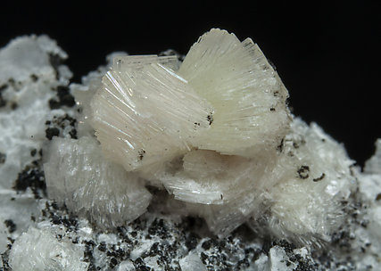 Bavenite with Albite and Chlorite. 