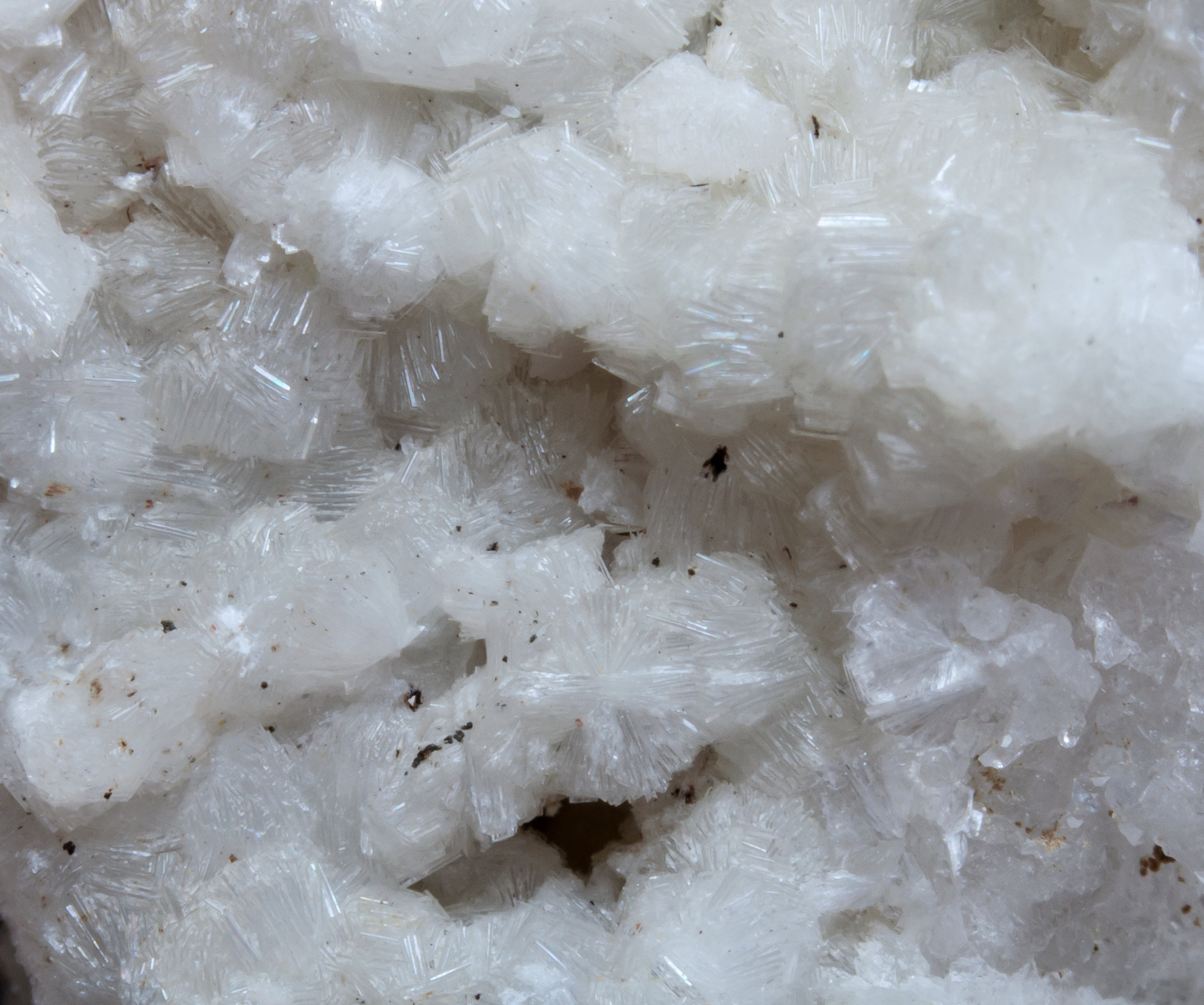 specimens/s_imagesAL3/Bavenite-NG11AL3d.jpg