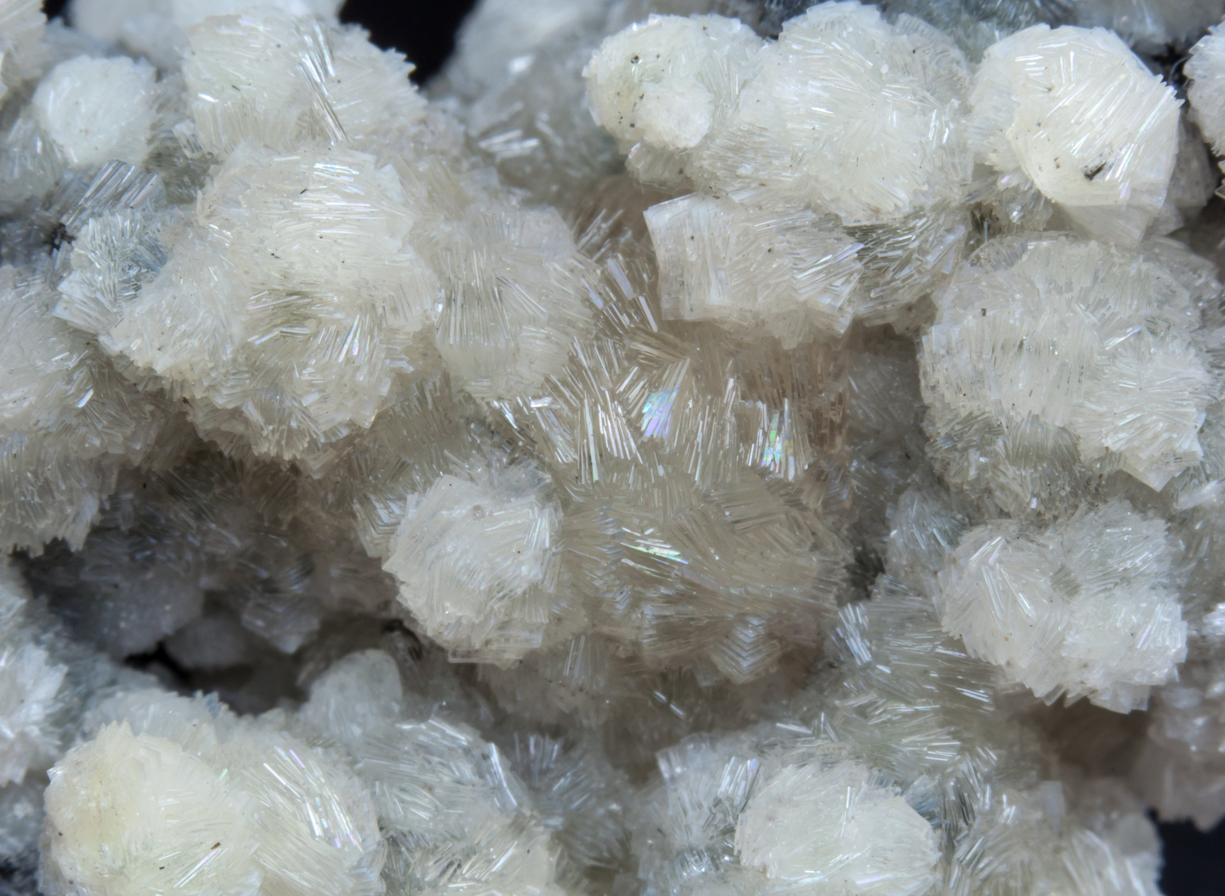 specimens/s_imagesAL3/Bavenite-NJ61AL3d.jpg