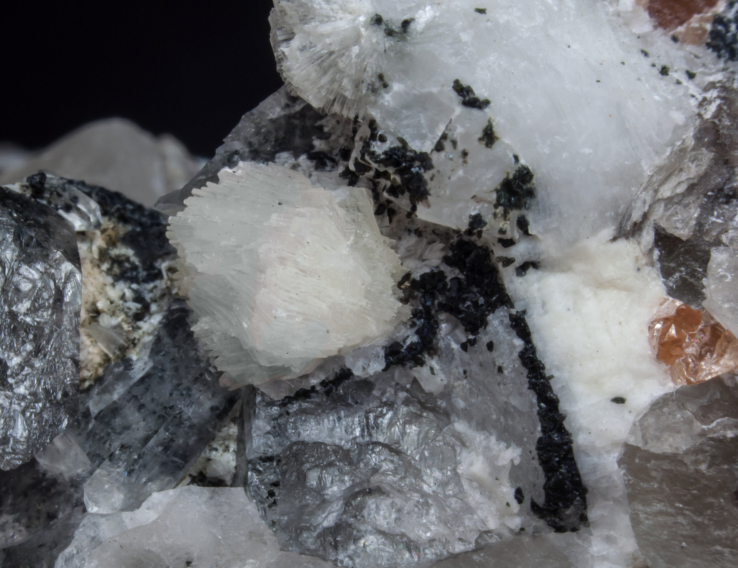 specimens/s_imagesAL3/Bavenite-NL12AL3d.jpg