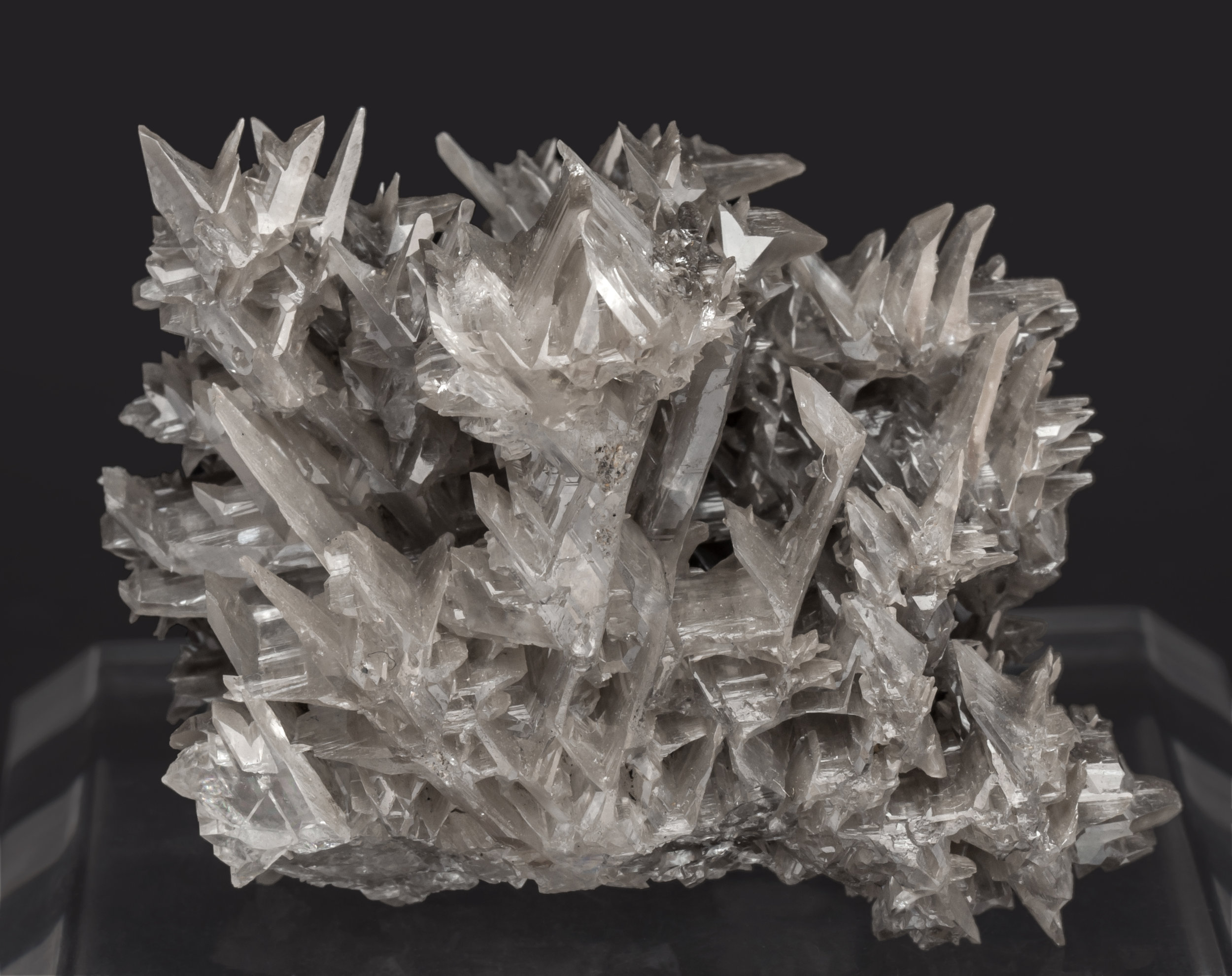 specimens/s_imagesAL3/Cerussite-TA66AL3f.jpg