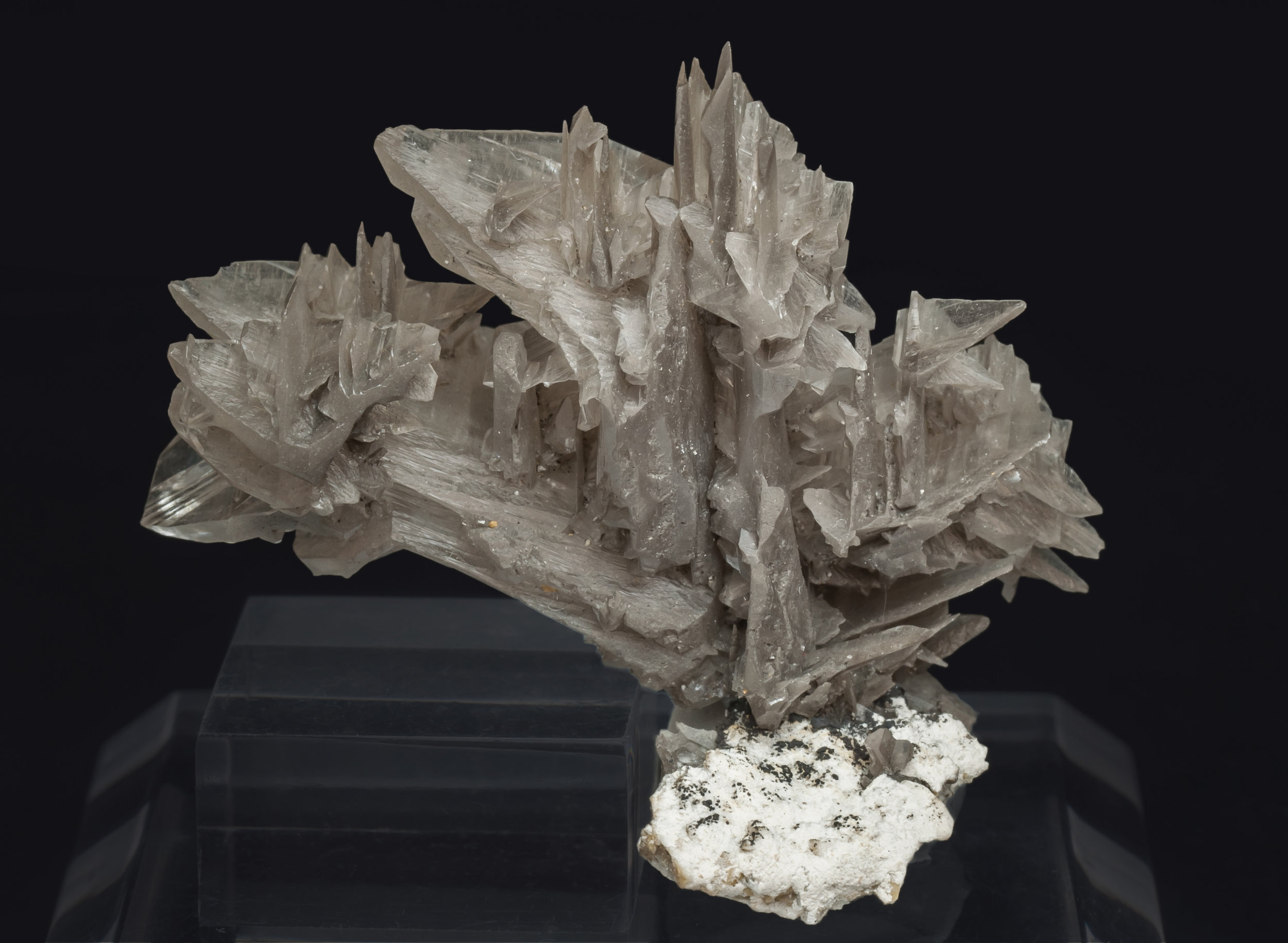 specimens/s_imagesAL3/Cerussite-TE57AL3f.jpg