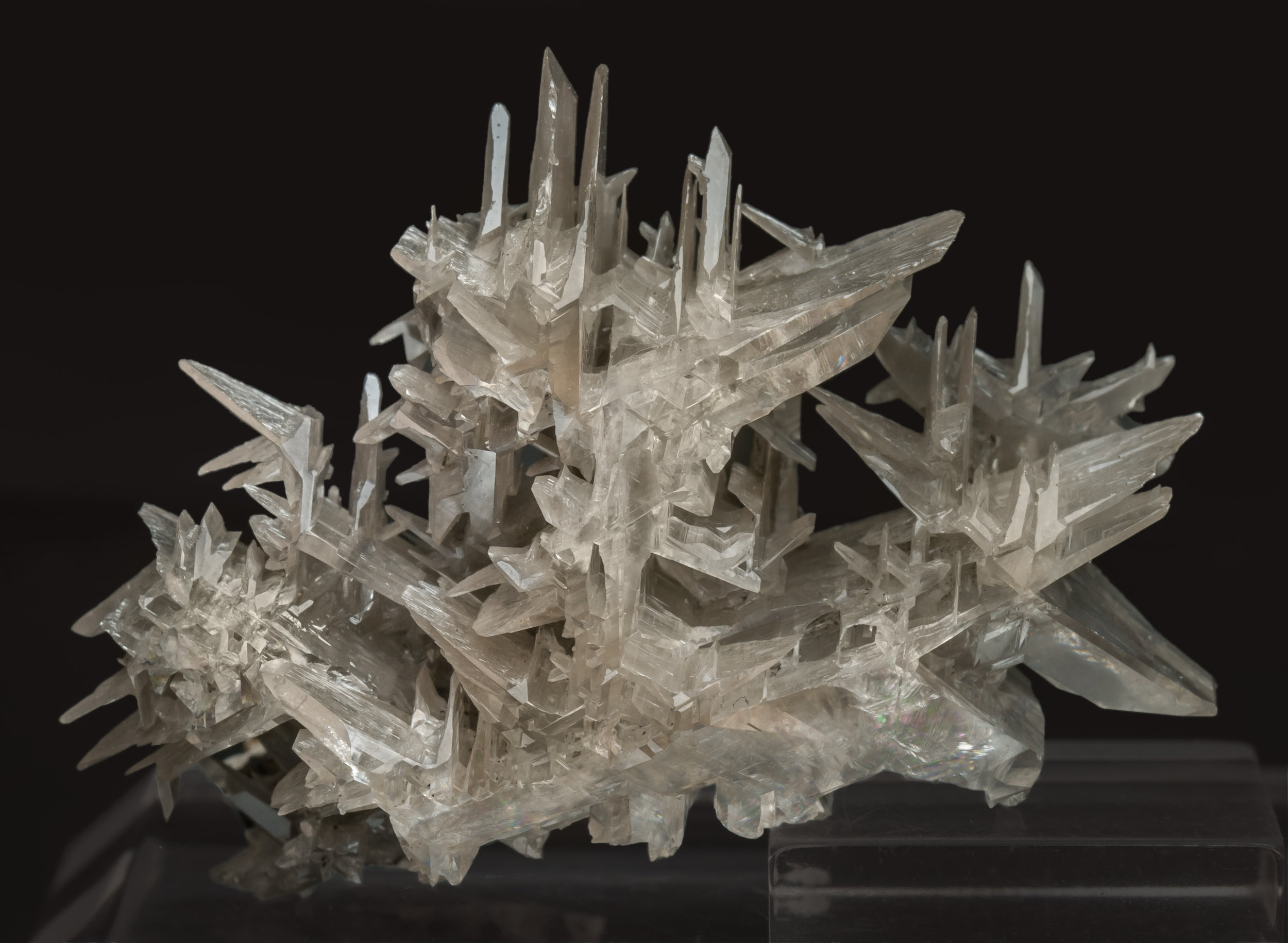 specimens/s_imagesAL3/Cerussite-TE57AL3r.jpg