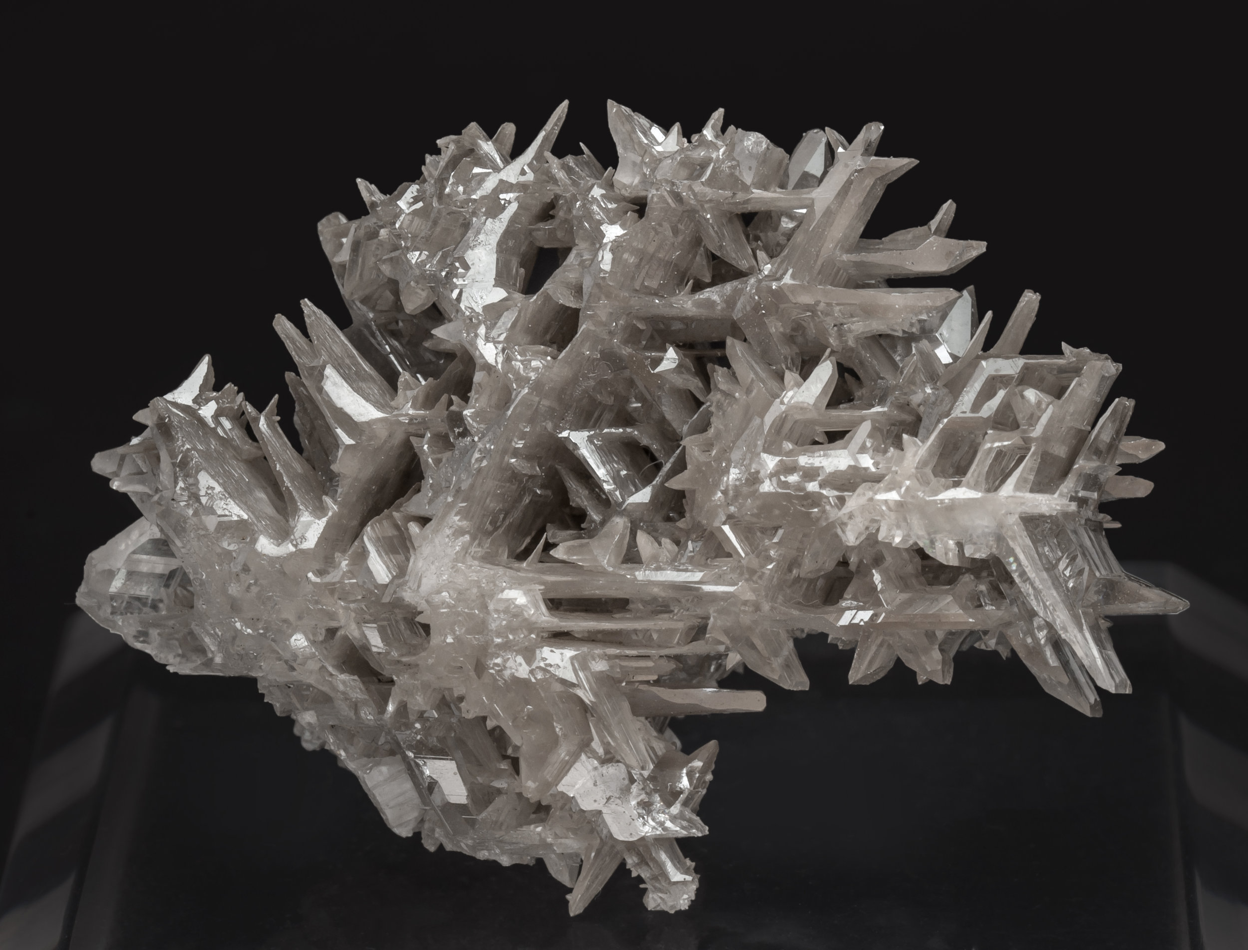 specimens/s_imagesAL3/Cerussite-TN56AL3f.jpg