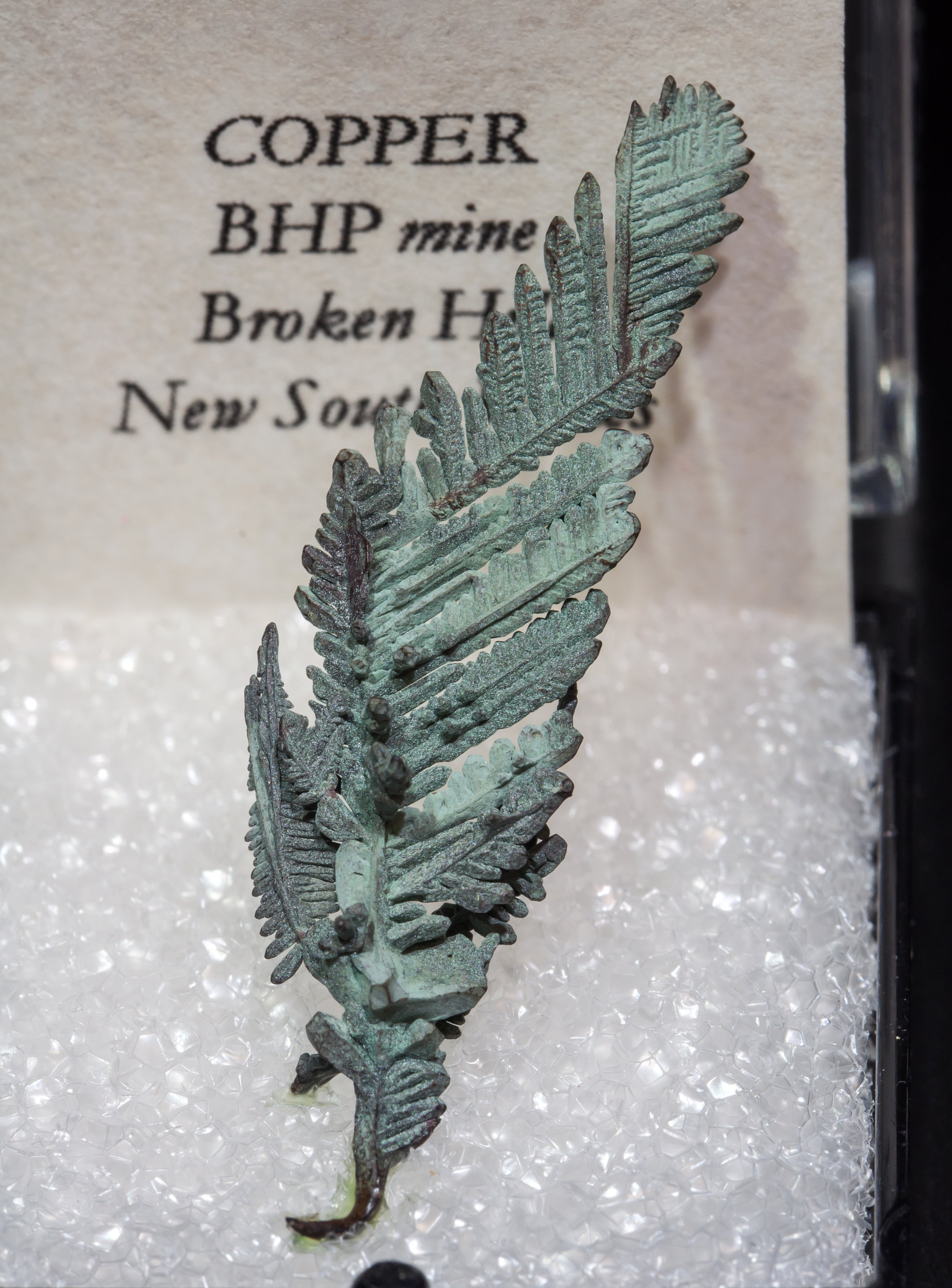 specimens/s_imagesAL3/Copper-TF87AL3f2.jpg
