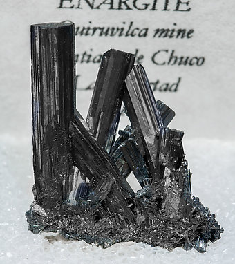 Enargite. 