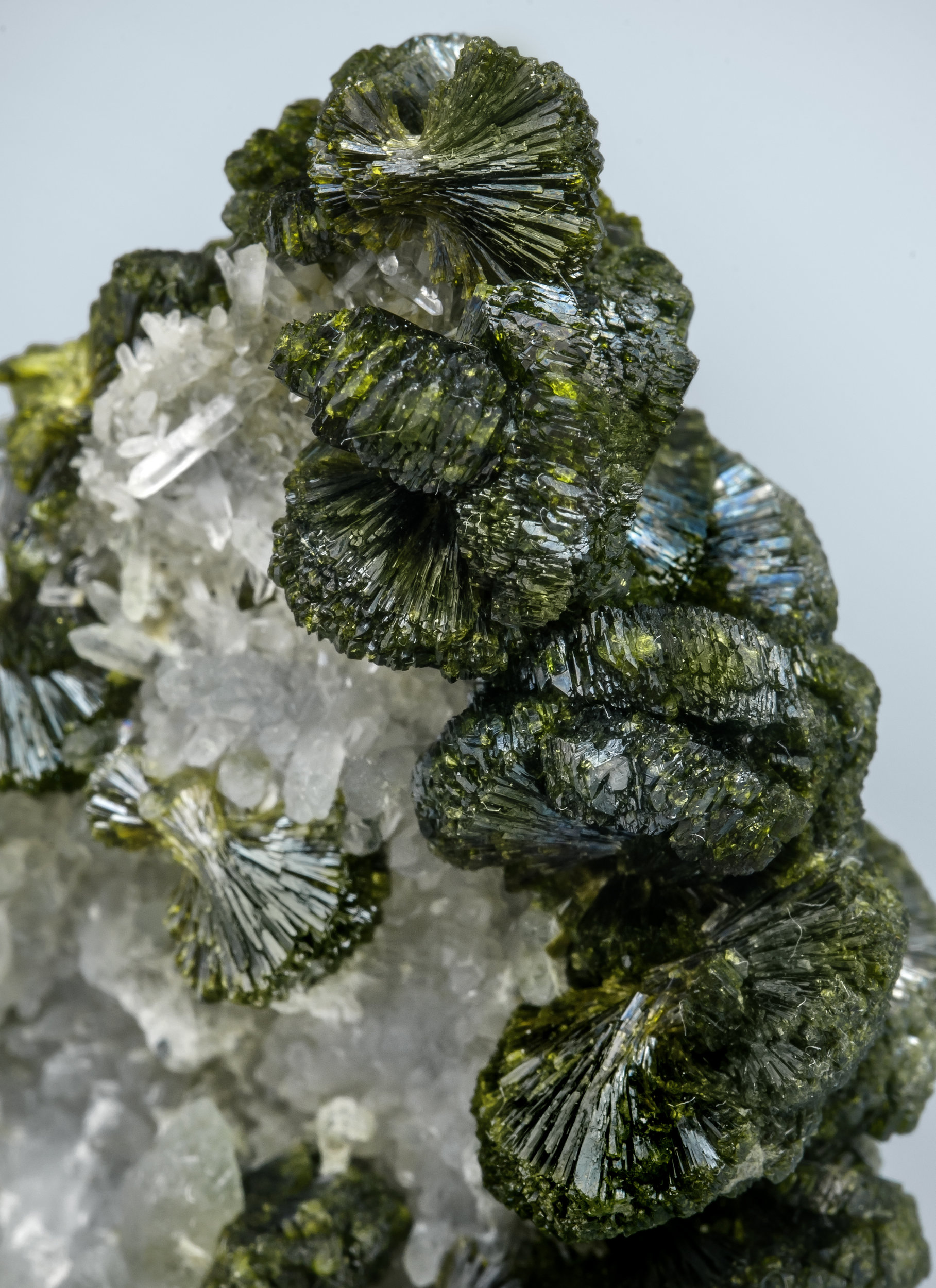 specimens/s_imagesAL3/Epidote-MB13AL3d.jpg