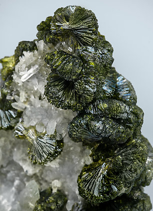 Epidote with Quartz. 