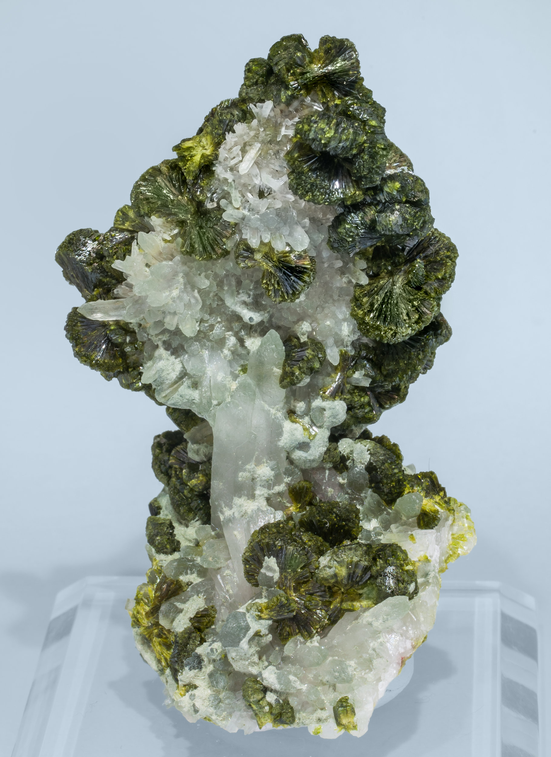 specimens/s_imagesAL3/Epidote-MB13AL3f.jpg