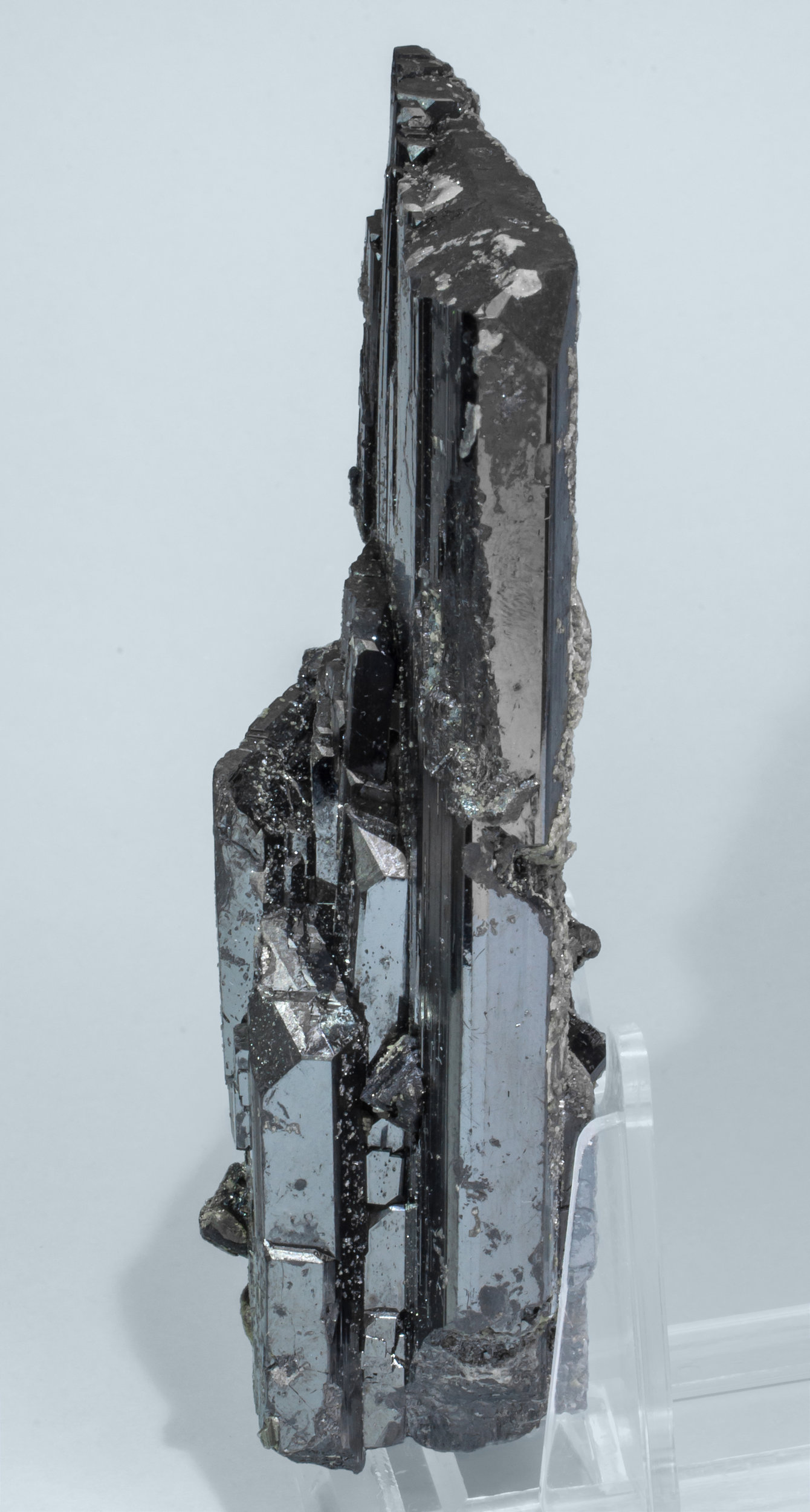 specimens/s_imagesAL3/Ferberite-TC69AL3s2.jpg