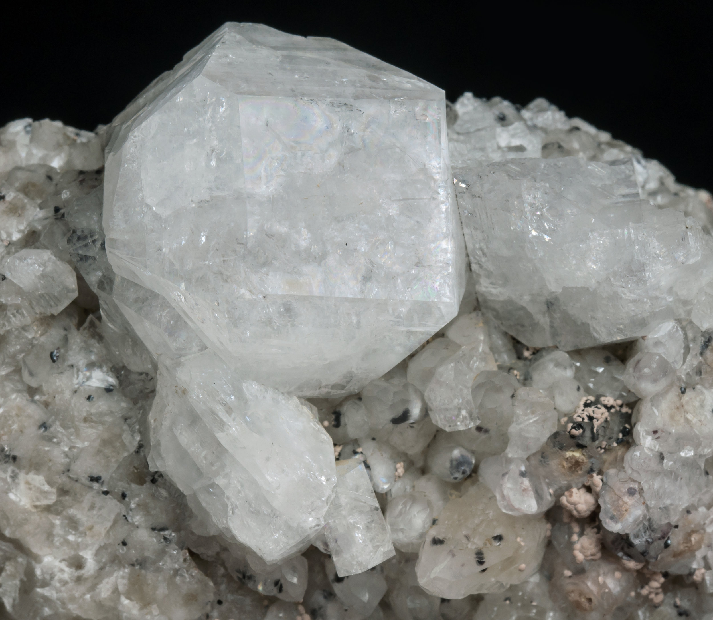 specimens/s_imagesAL3/Fluorapophyllite-TT47AL3d.jpg