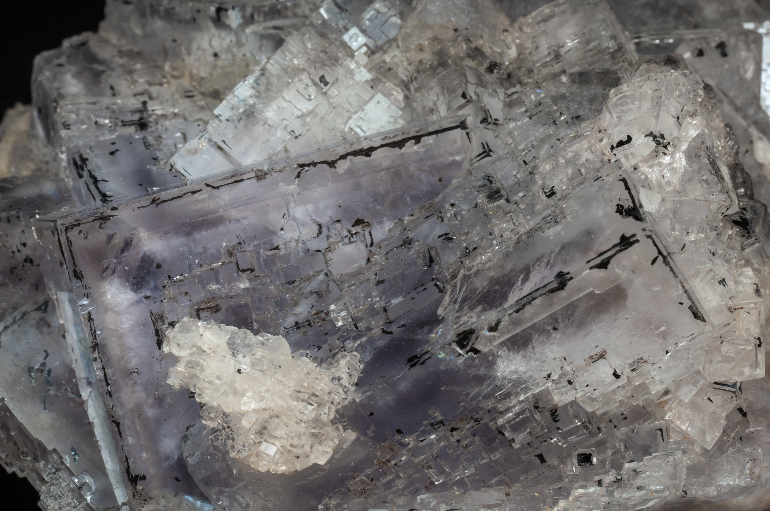 specimens/s_imagesAL3/Fluorite-MF89AL3d.jpg