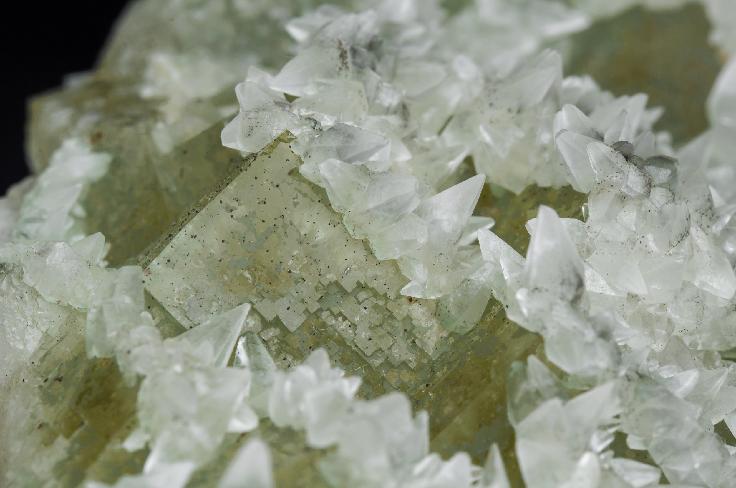 specimens/s_imagesAL3/Fluorite-NR47AL3d.jpg