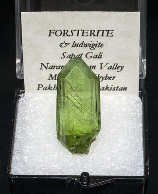 Forsterita (variedad peridoto) con Ludwigita. 