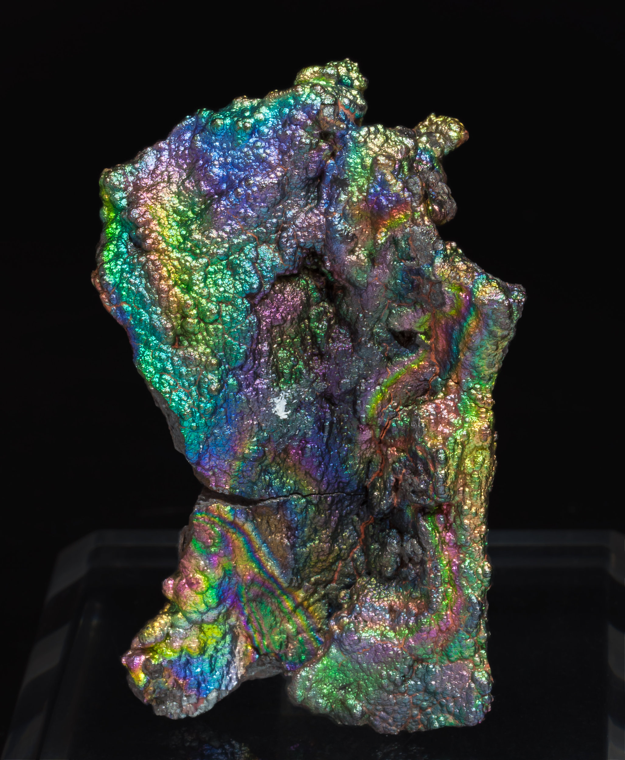 specimens/s_imagesAL3/Goethite-MA26AL3r.jpg