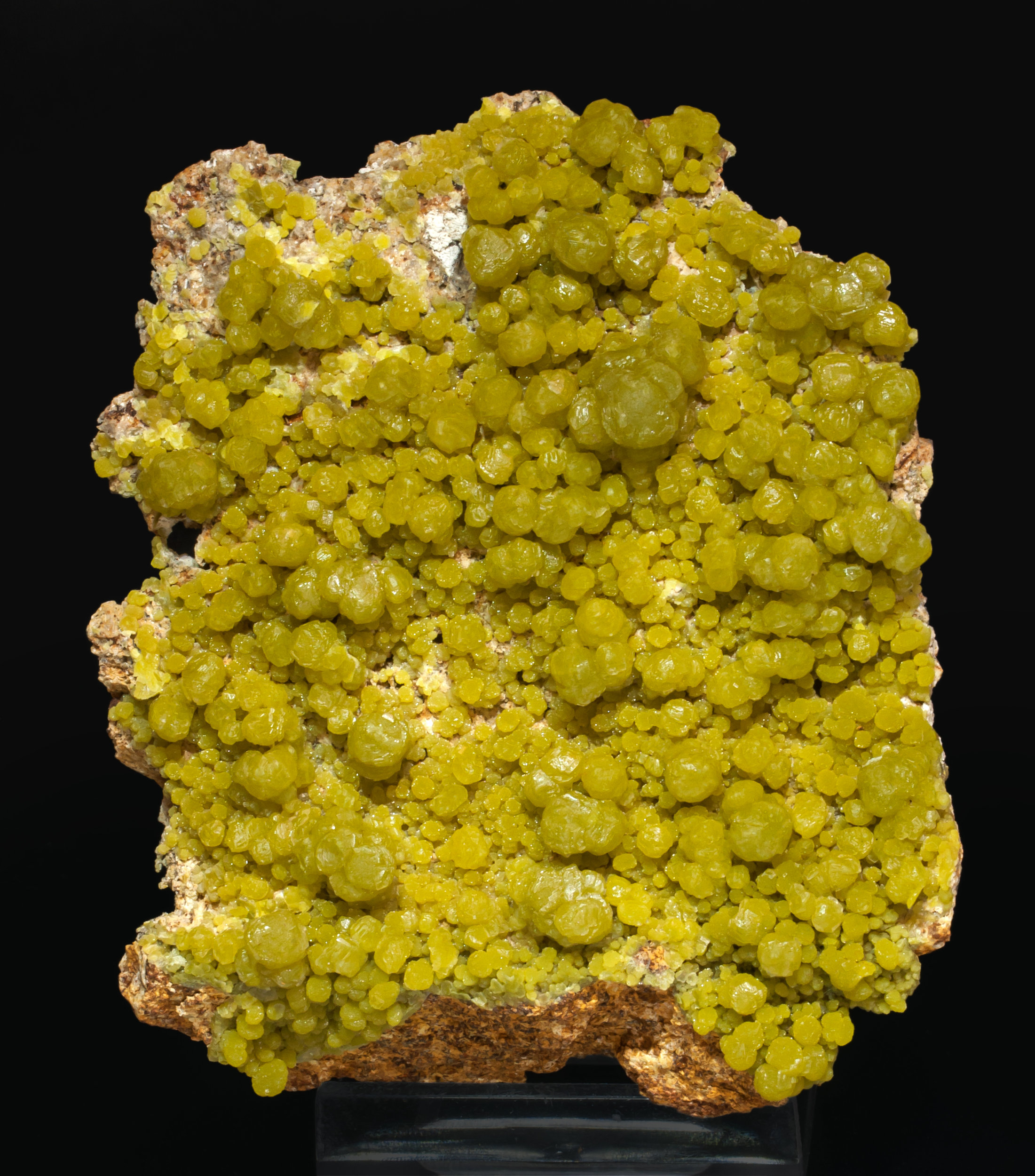 specimens/s_imagesAL3/Mimetite-MM96AL3f.jpg