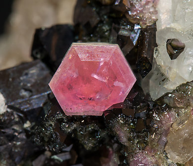 Pezzottaite with Schorl and Quartz. 