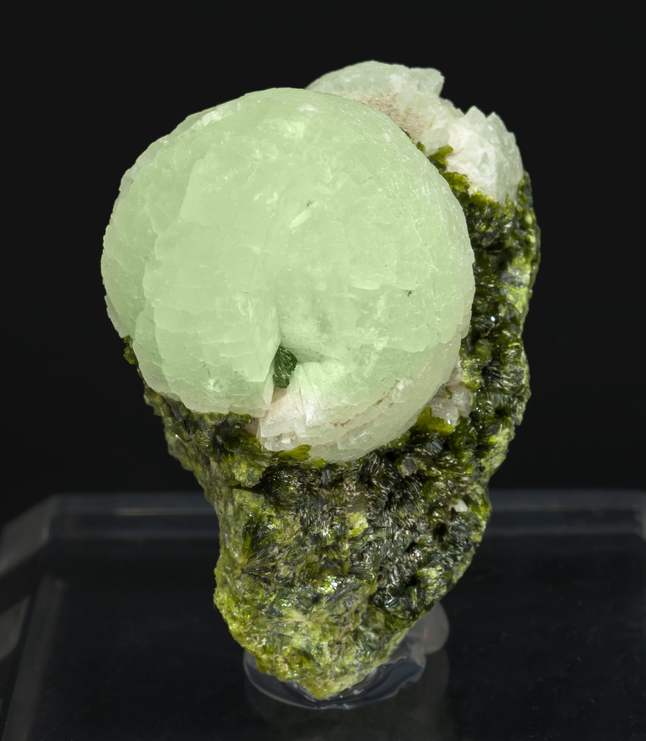 specimens/s_imagesAL3/Prehnite-MV10AL3f.jpg