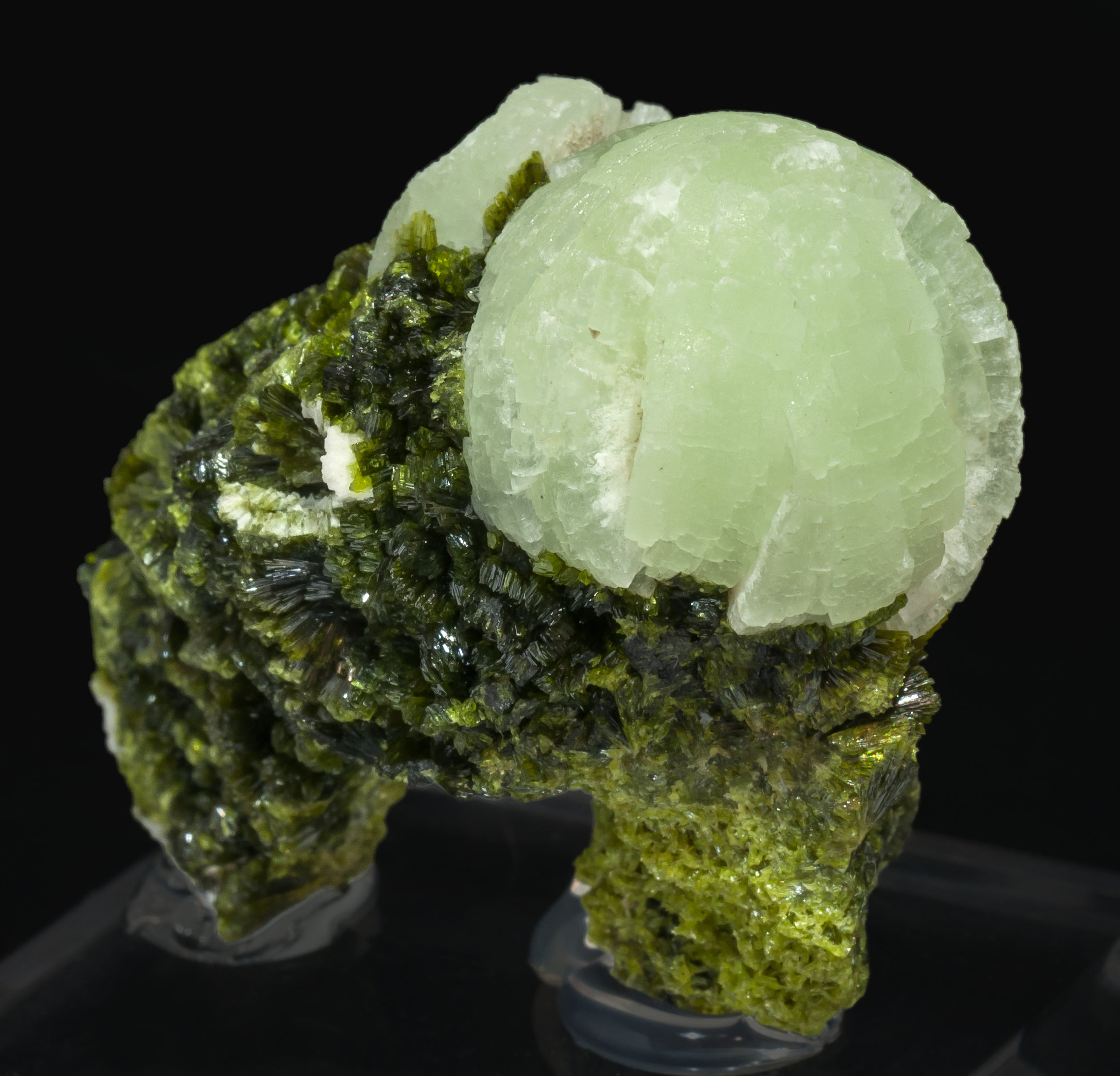 specimens/s_imagesAL3/Prehnite-MV10AL3s.jpg