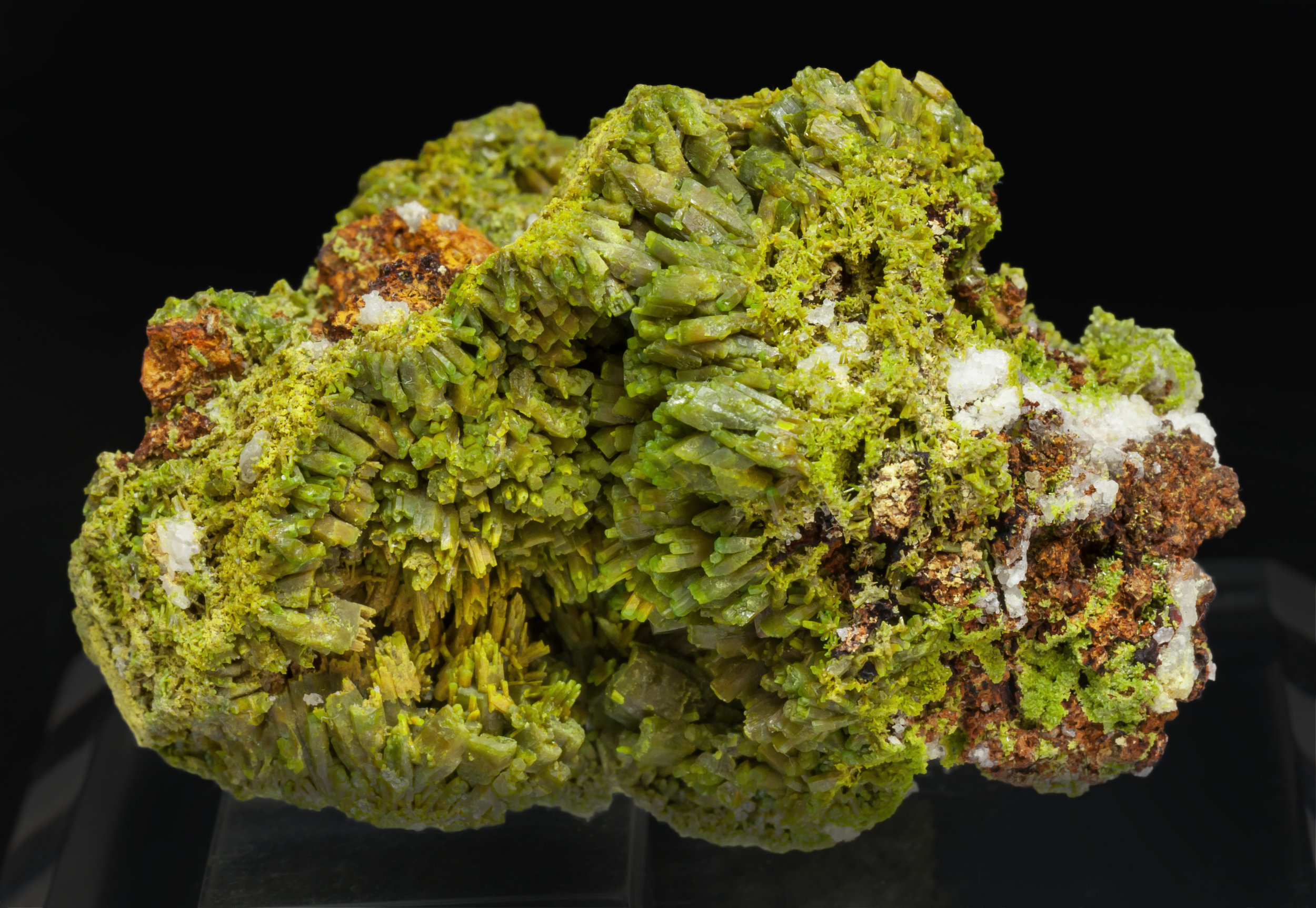 specimens/s_imagesAL3/Pyromorphite-TR27AL3r.jpg