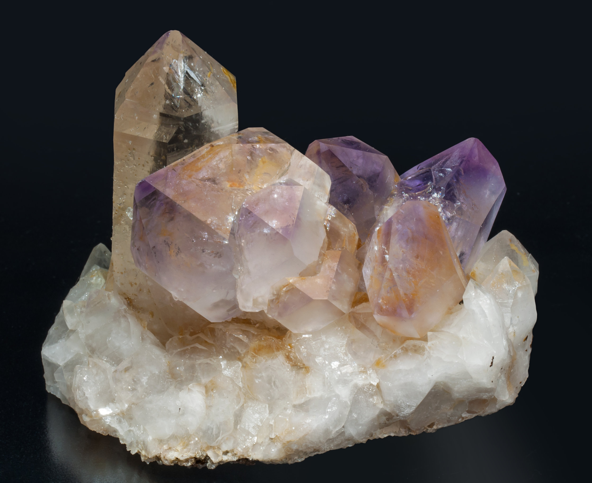 specimens/s_imagesAL3/Quartz_amethyst-EE89AL3f.jpg