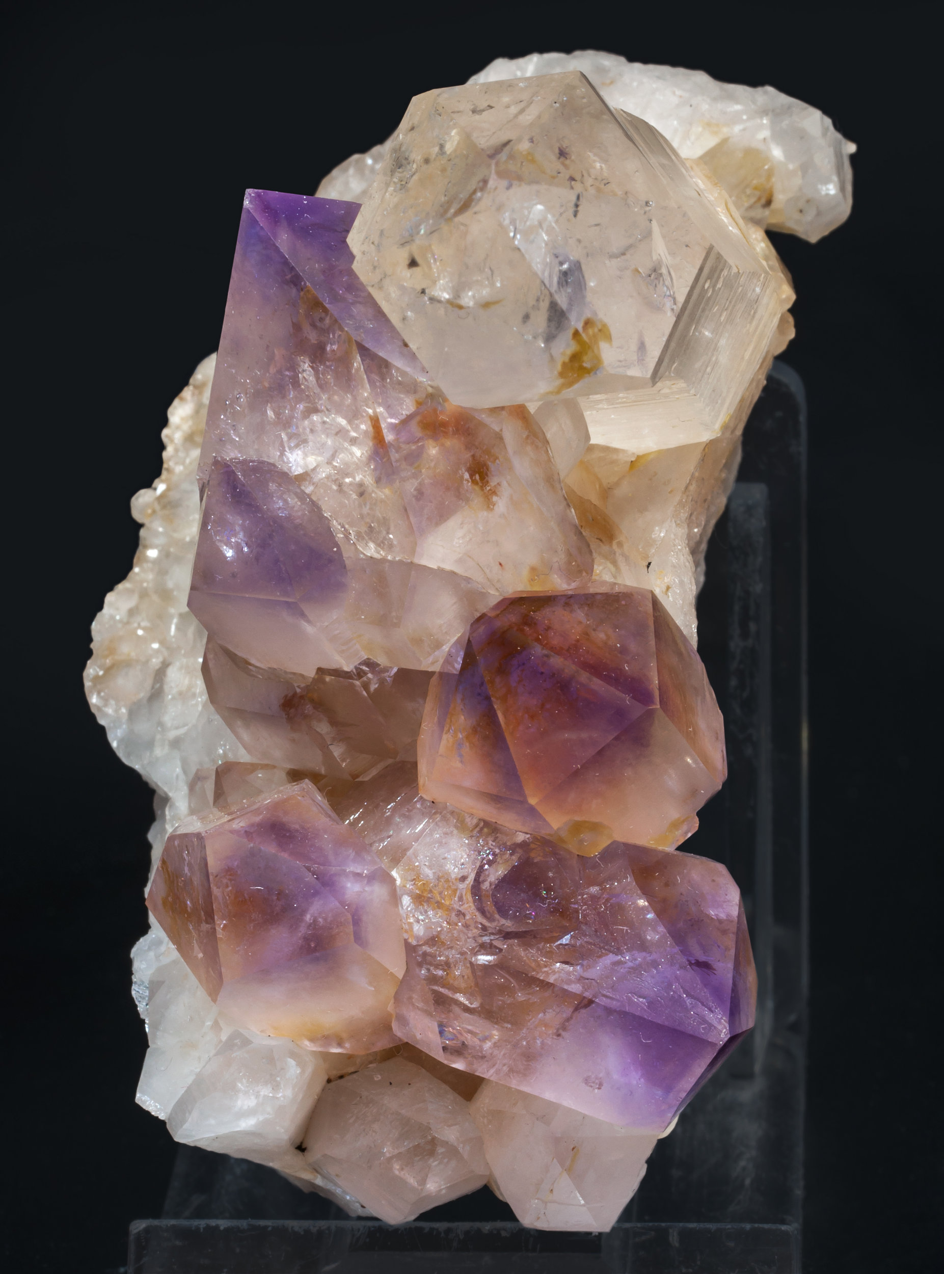 specimens/s_imagesAL3/Quartz_amethyst-EE89AL3s.jpg