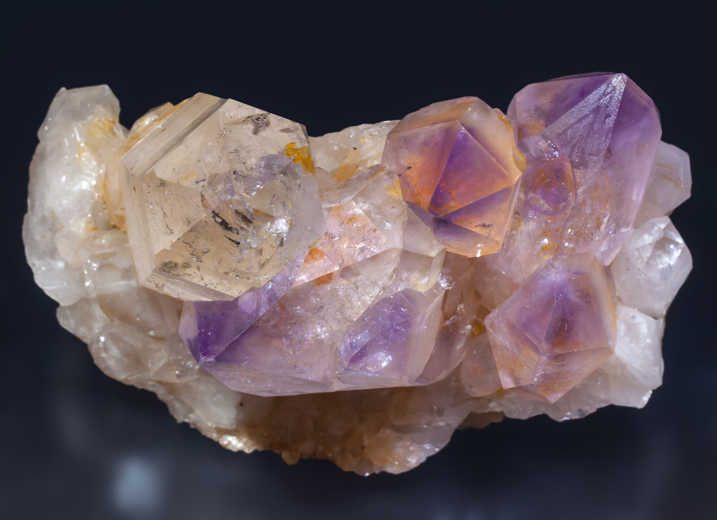 specimens/s_imagesAL3/Quartz_amethyst-EE89AL3t.jpg