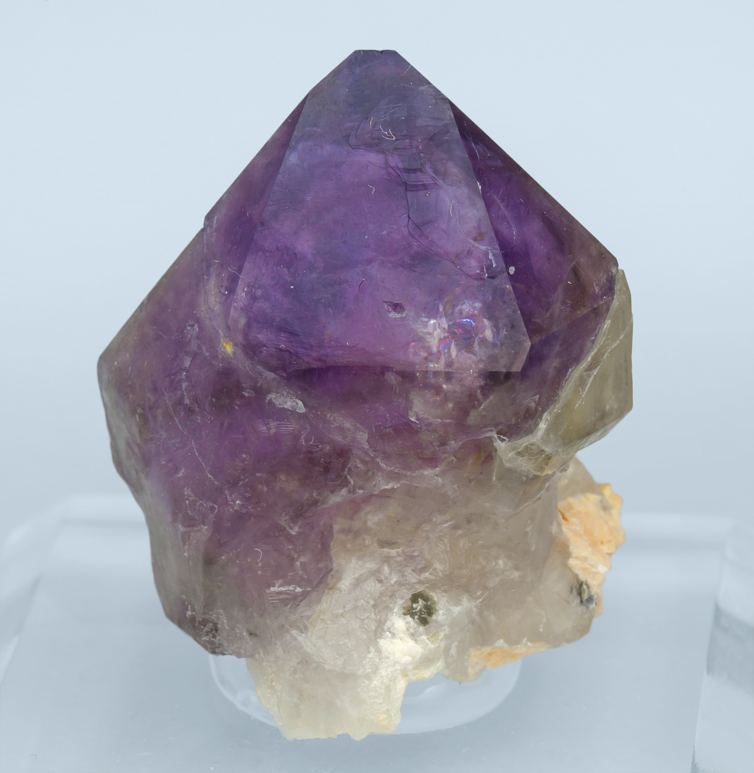 specimens/s_imagesAL3/Quartz_amethyst-NG8AL3f.jpg