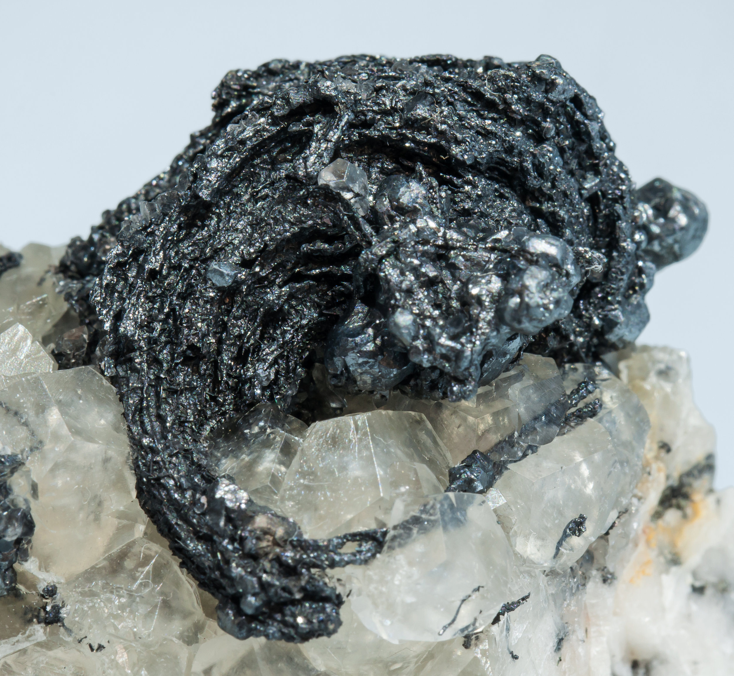 specimens/s_imagesAL3/Silver-TV27AL3d.jpg