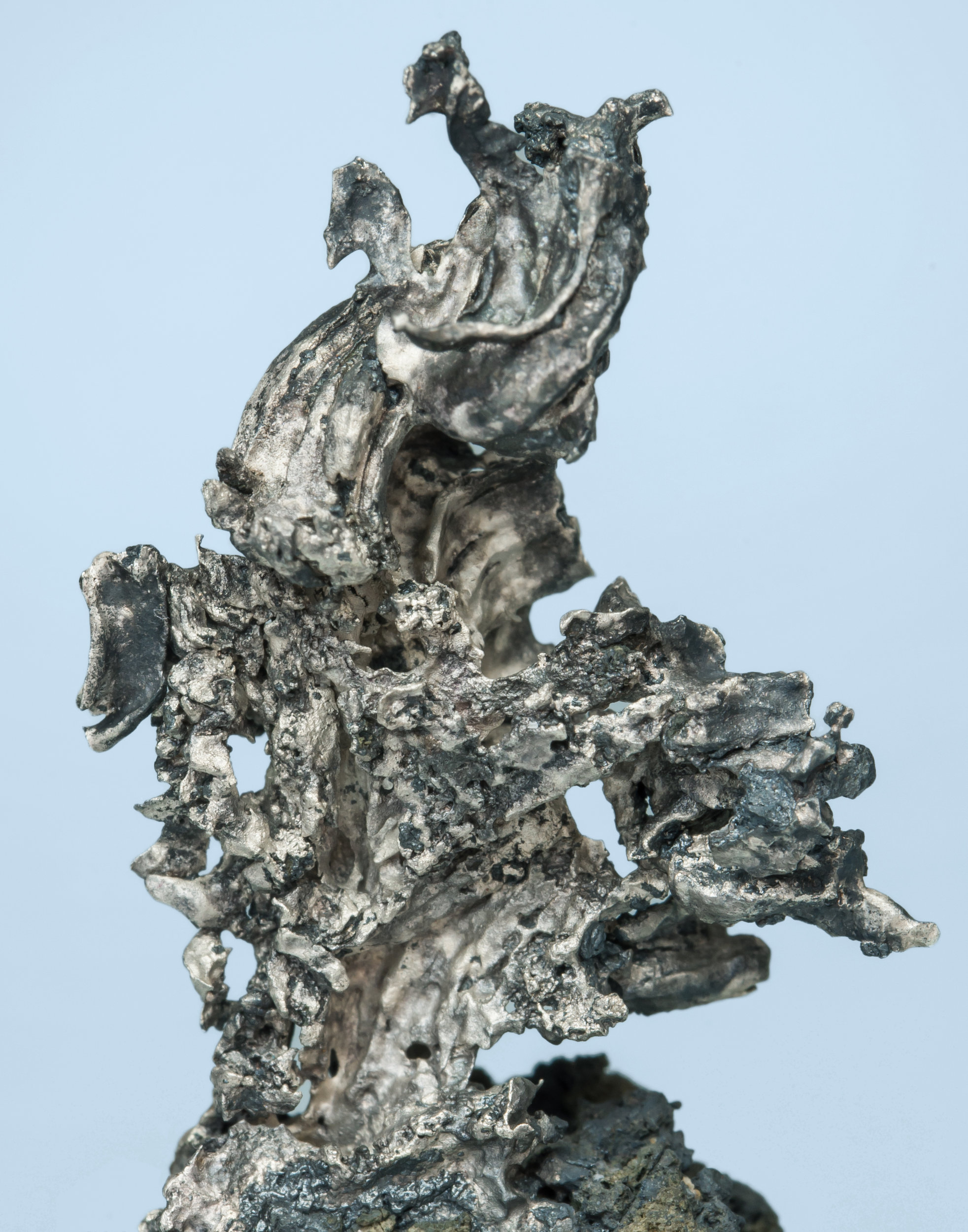 specimens/s_imagesAL3/Silver-TX53AL3d.jpg