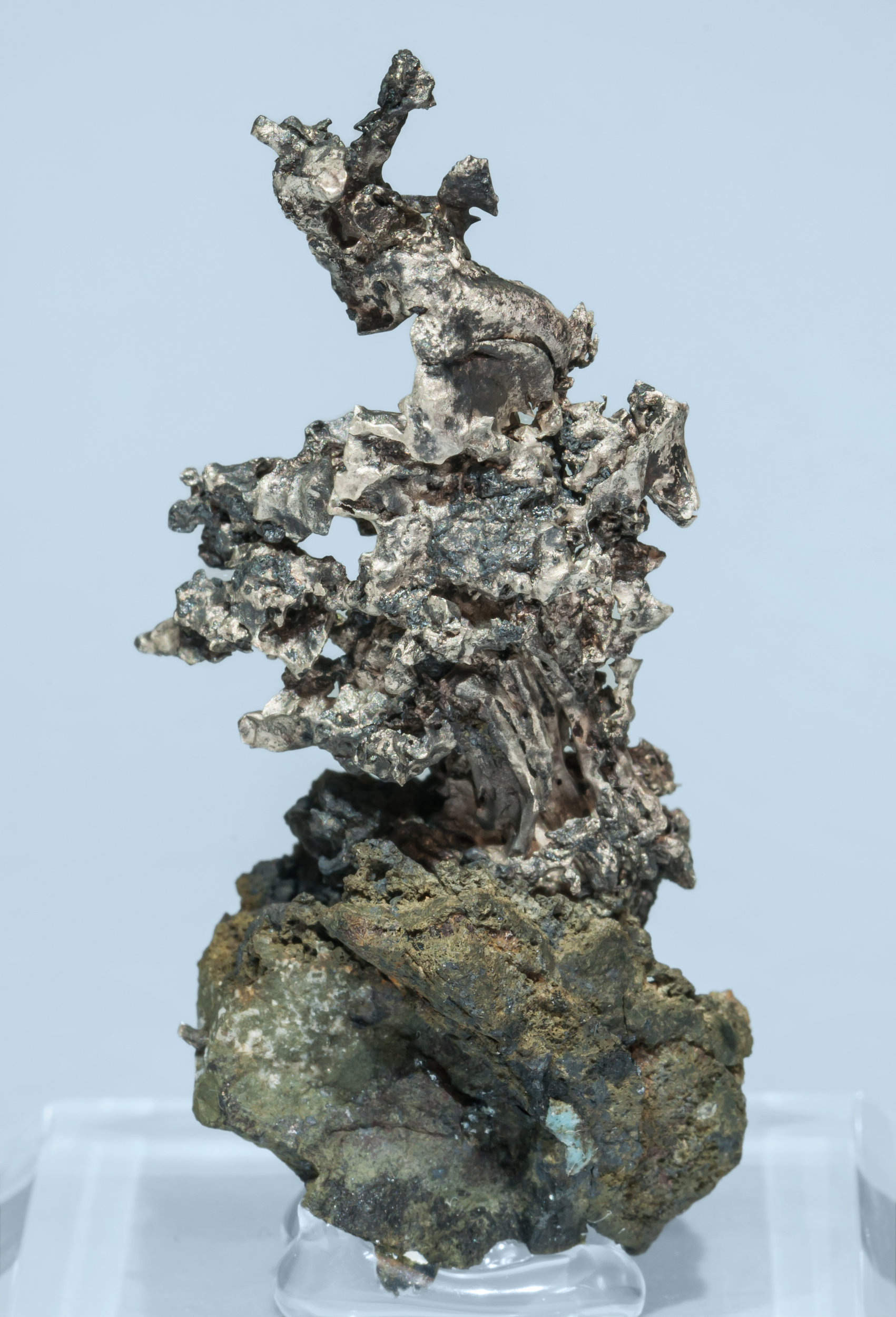 specimens/s_imagesAL3/Silver-TX53AL3r.jpg