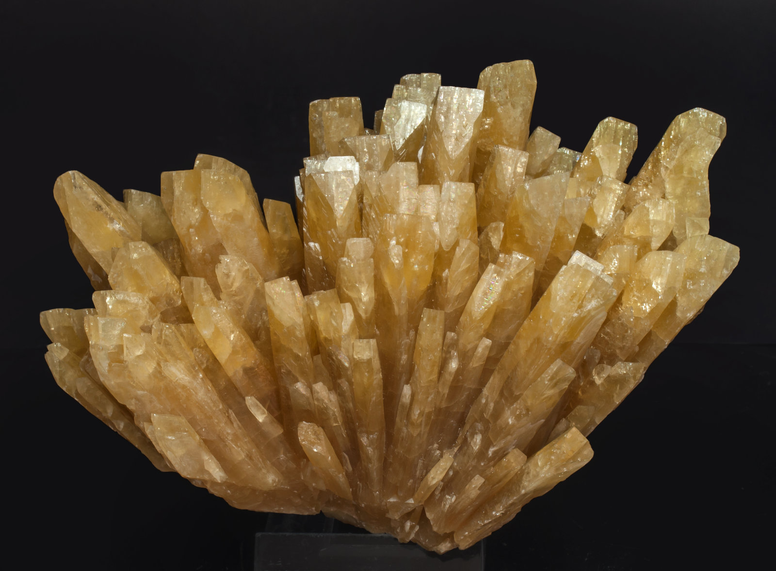 specimens/s_imagesAL4/Baryte-MD990AL4f.jpg