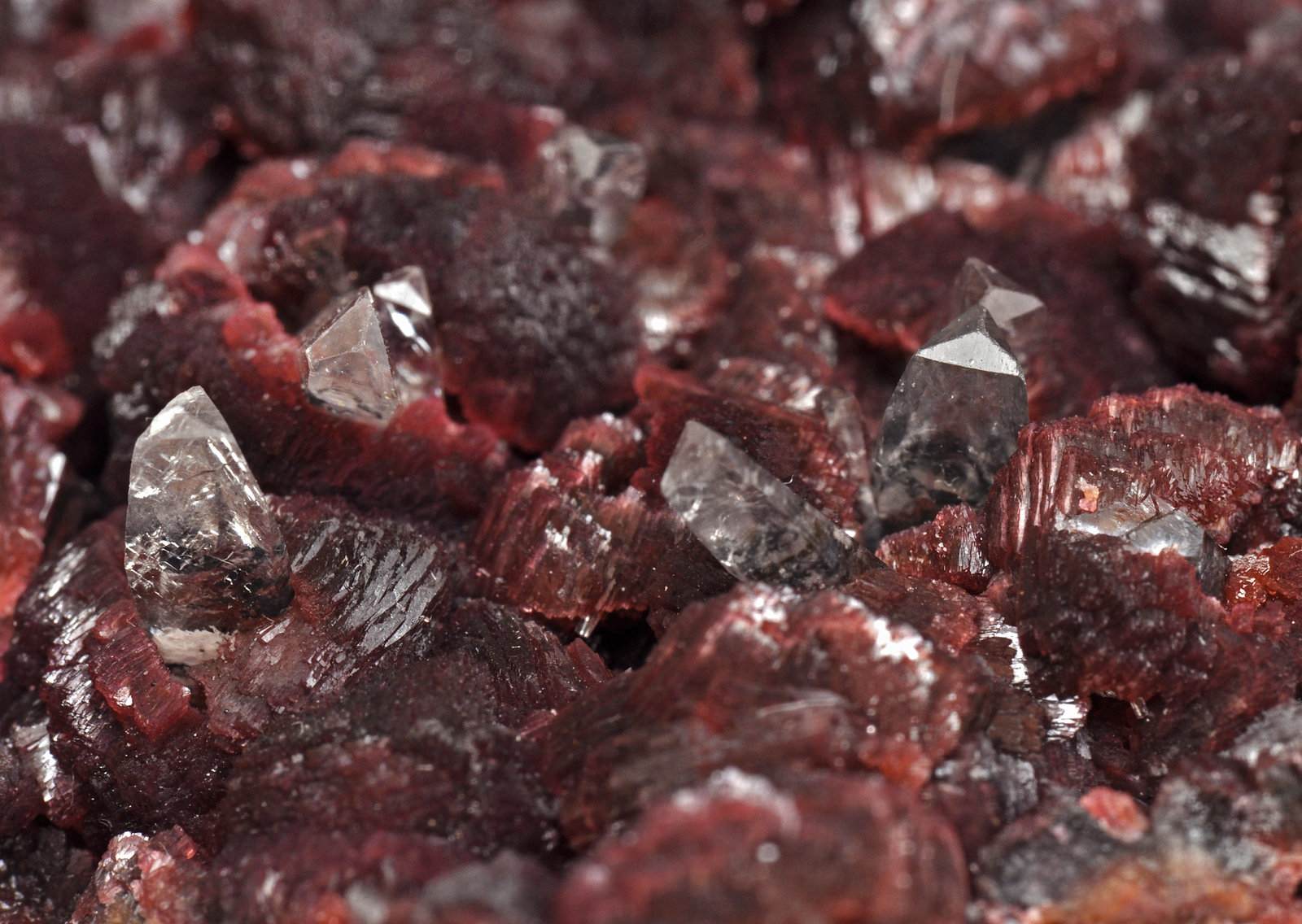 specimens/s_imagesAL4/Beta-Roselite-MG26AL4d.jpg