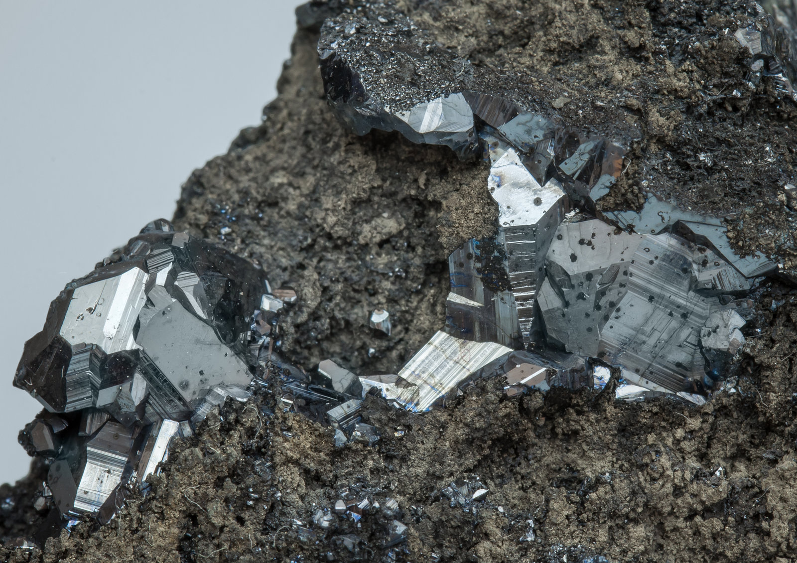 specimens/s_imagesAL4/Chalcocite-NA86AL4d.jpg