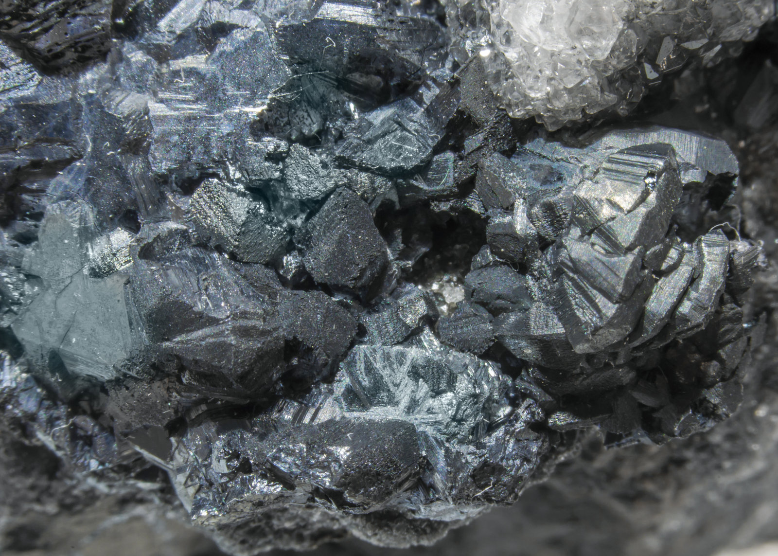 specimens/s_imagesAL4/Chalcocite-NF13AL4d.jpg