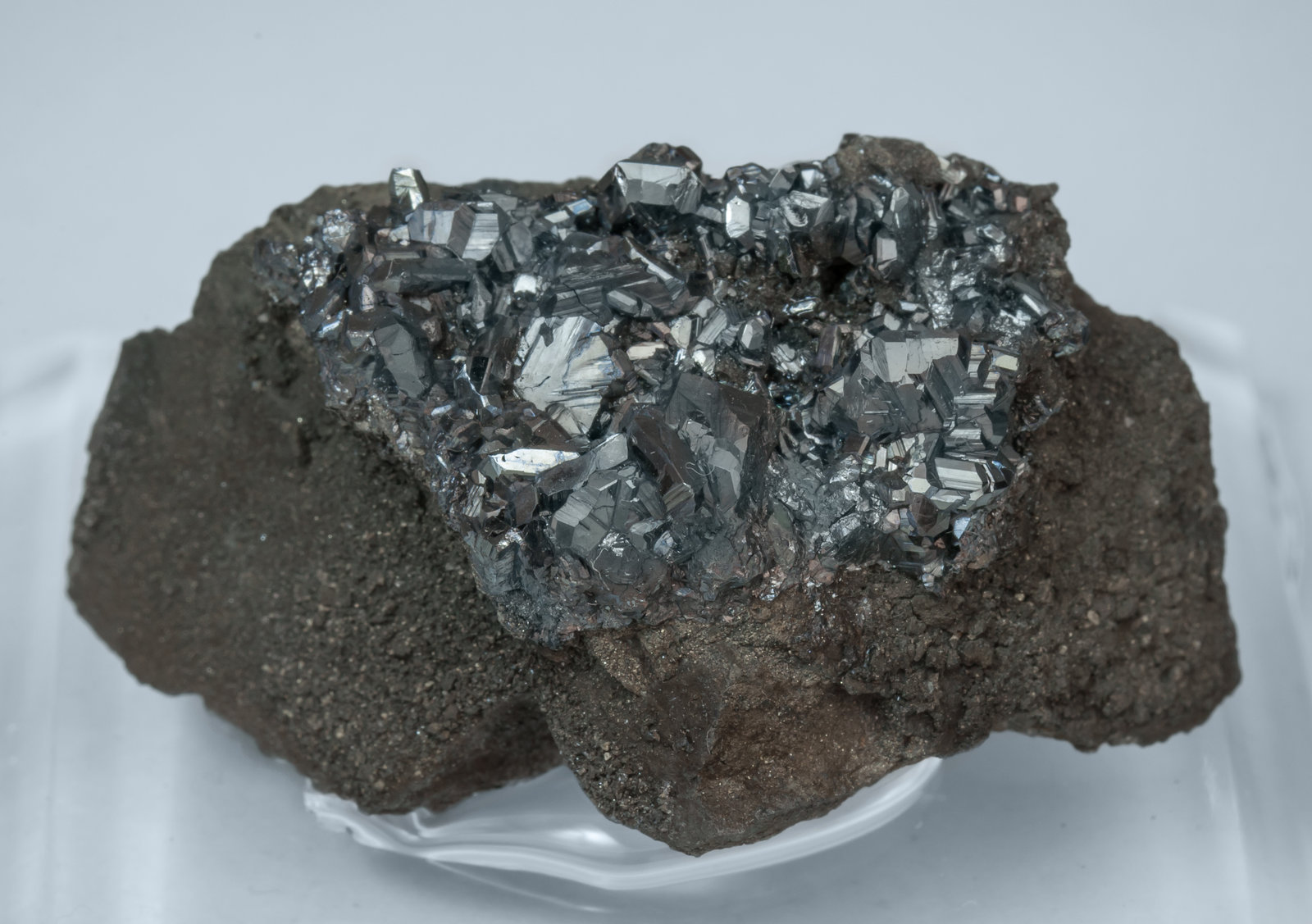 specimens/s_imagesAL4/Chalcocite-NG37AL4f.jpg