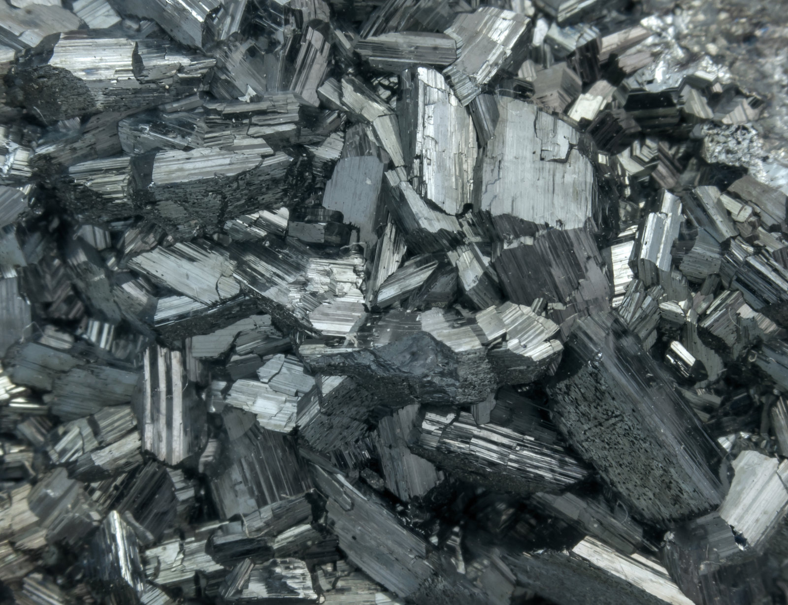 specimens/s_imagesAL4/Chalcocite-NW16AL4d.jpg