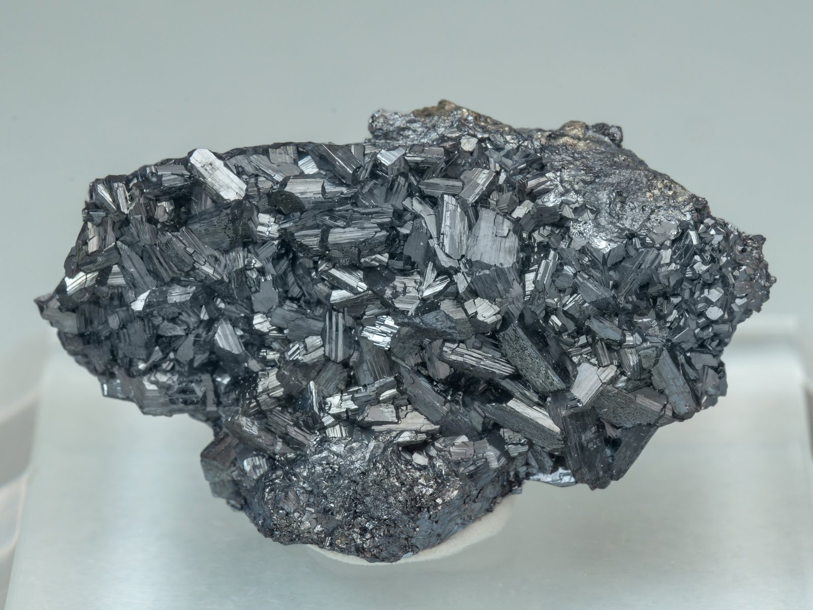specimens/s_imagesAL4/Chalcocite-NW16AL4f.jpg