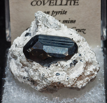 Chalcocite on Pyrite. 