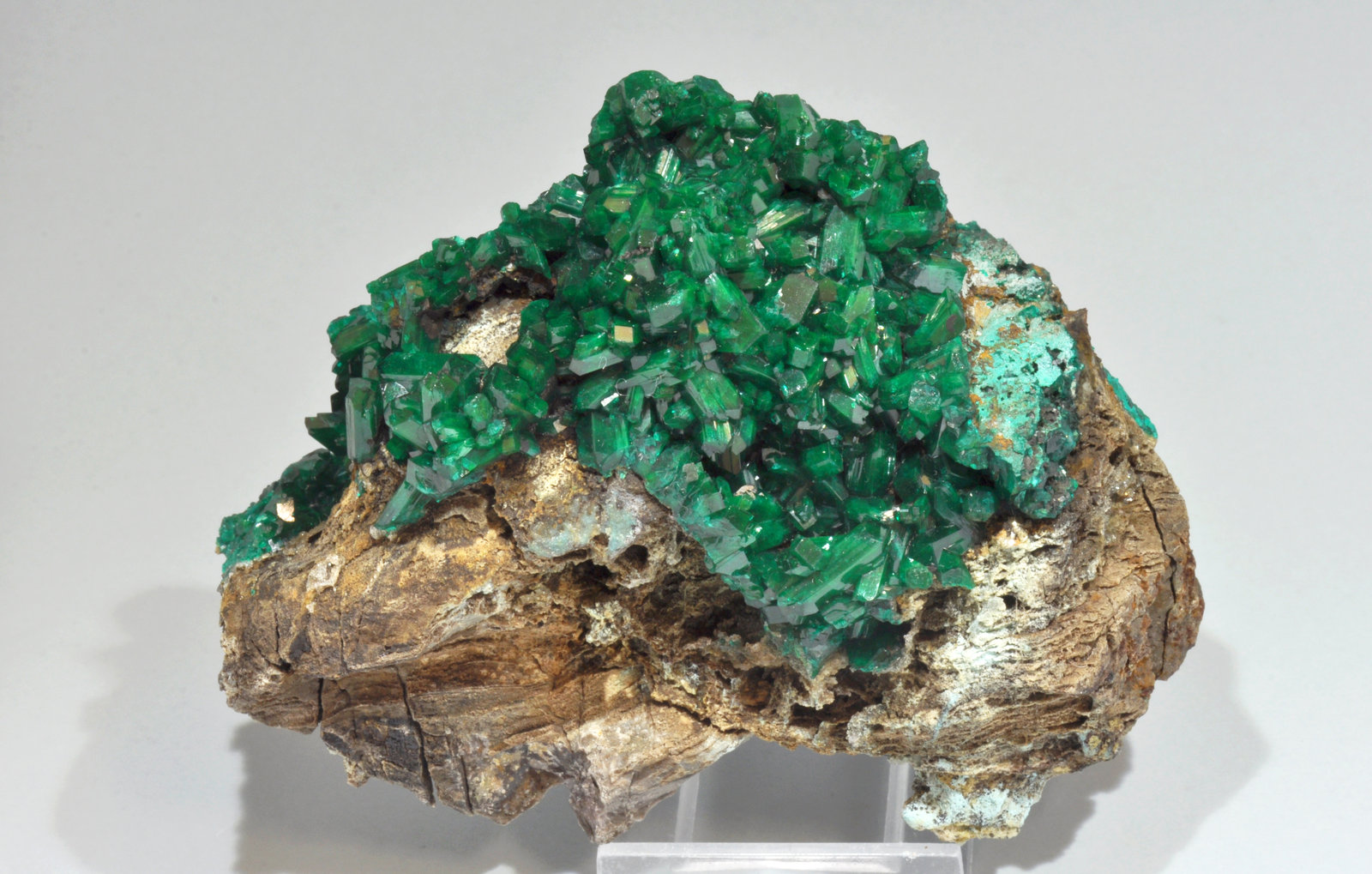 specimens/s_imagesAL4/Dioptase-MB36AL4f2.jpg