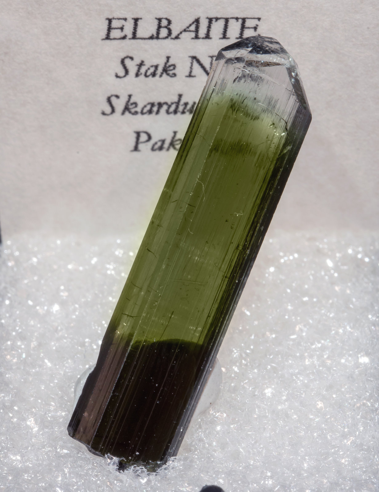 specimens/s_imagesAL4/Elbaite-TZ26AL4f2.jpg